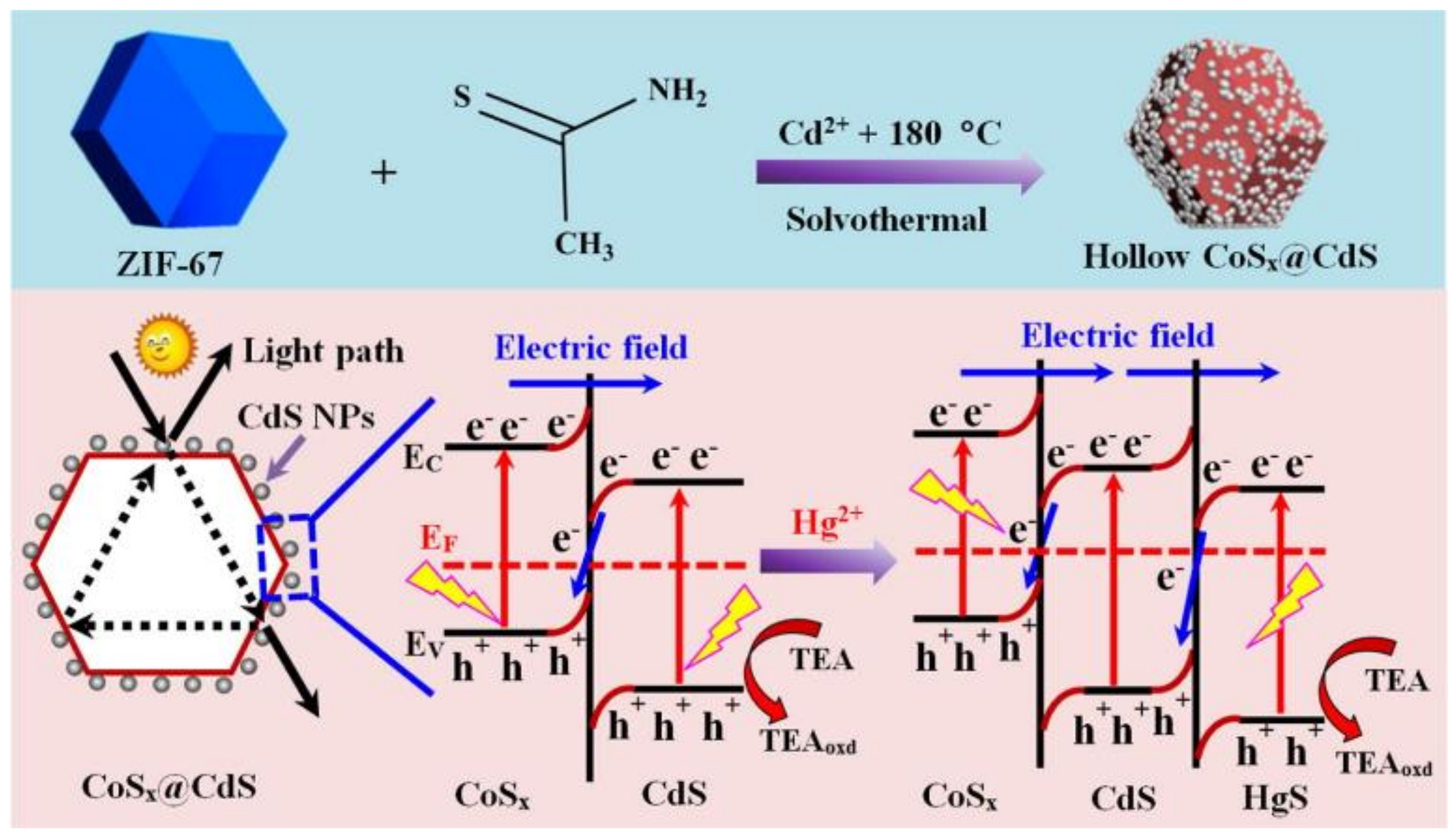 Chemosensors 09 00101 g008 Chemosensors 09 00101 g008