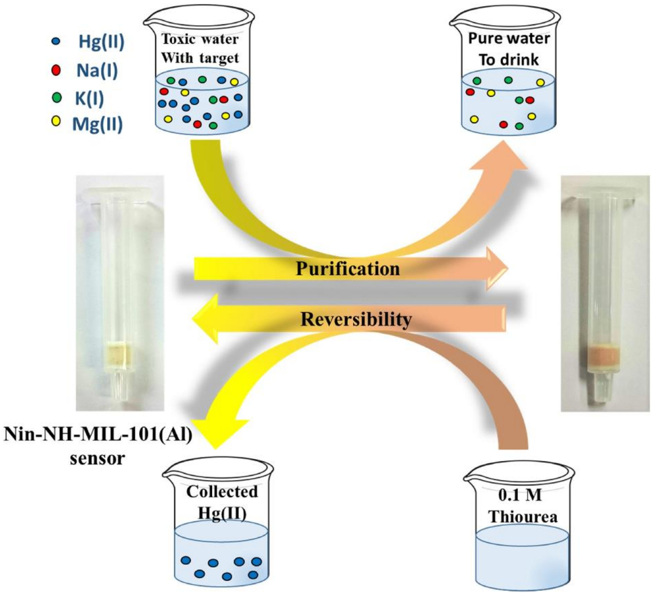 Chemosensors 09 00101 g015 Chemosensors 09 00101 g015