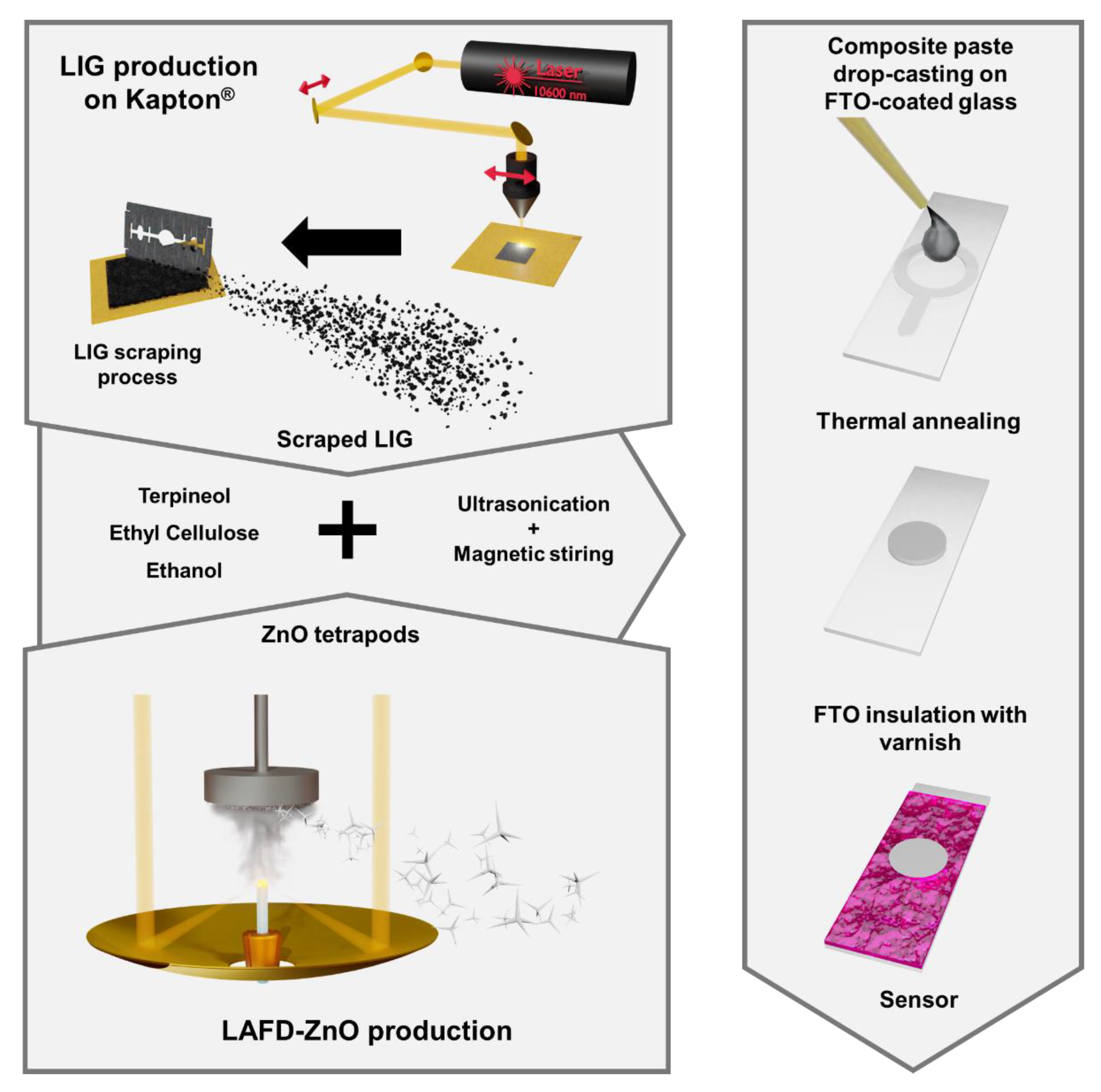 Chemosensors | Free Full-Text | Dual Transduction of H2O2 