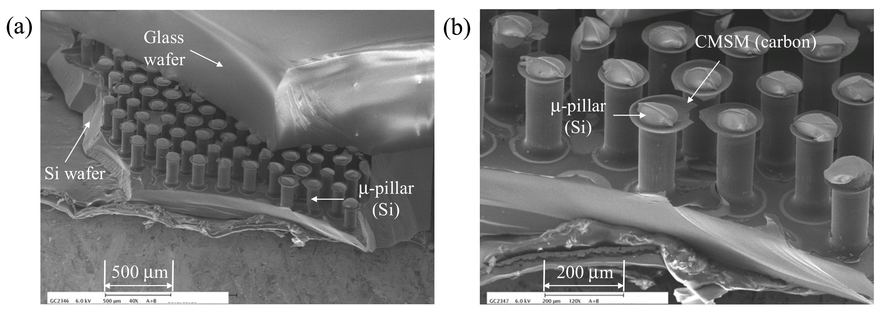 Chemosensors 09 00104 g002