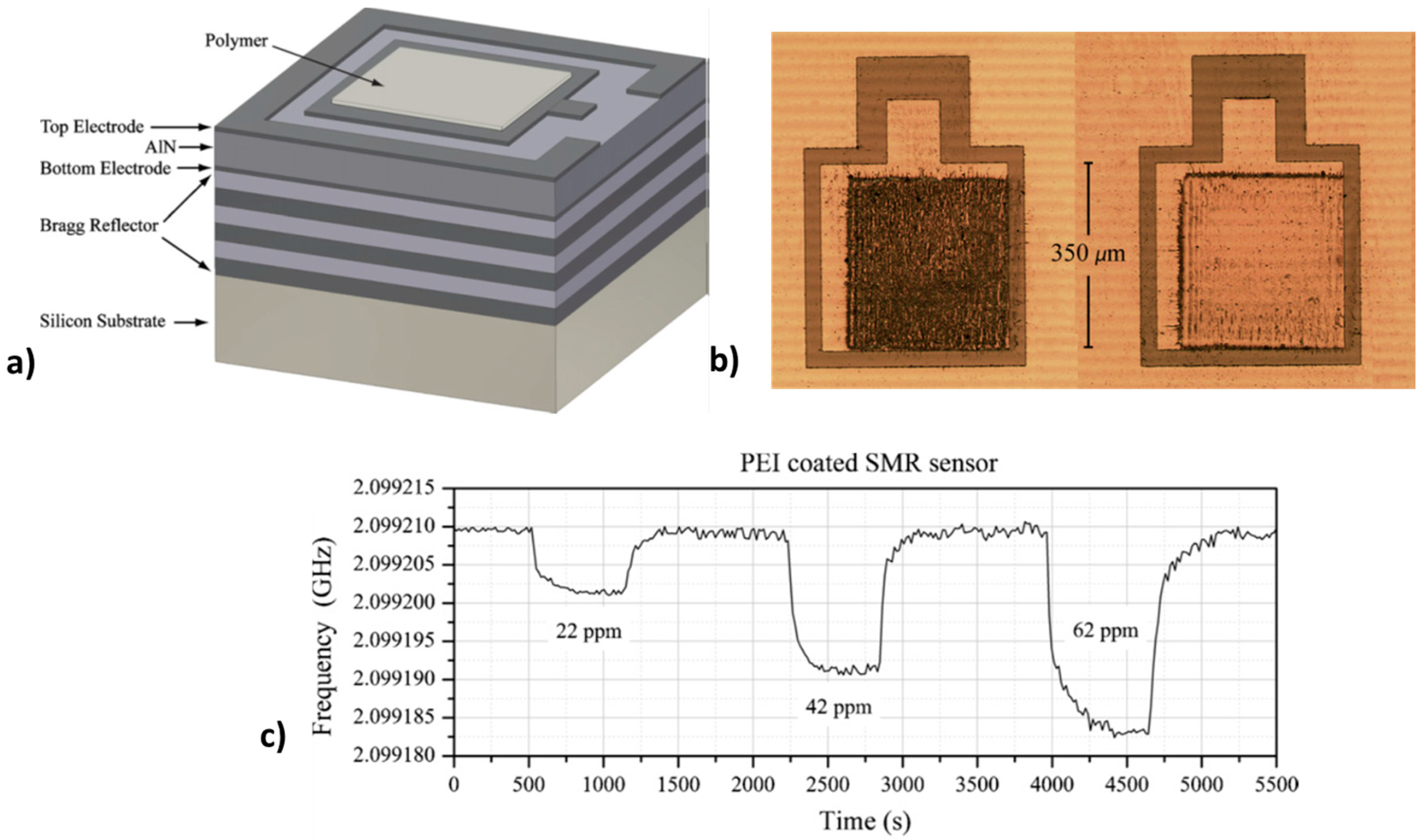 Chemosensors 09 00105 g007
