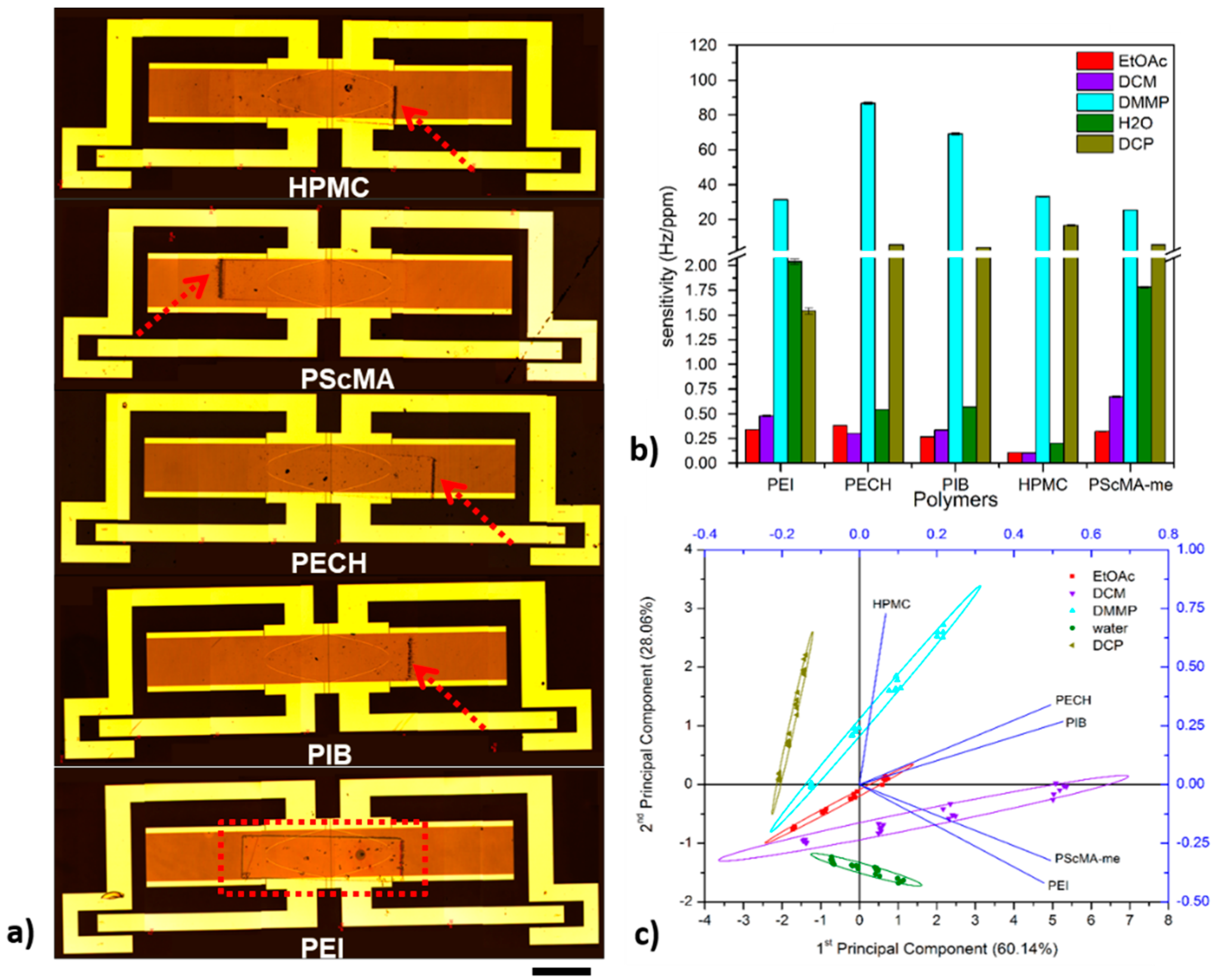 Chemosensors 09 00105 g008