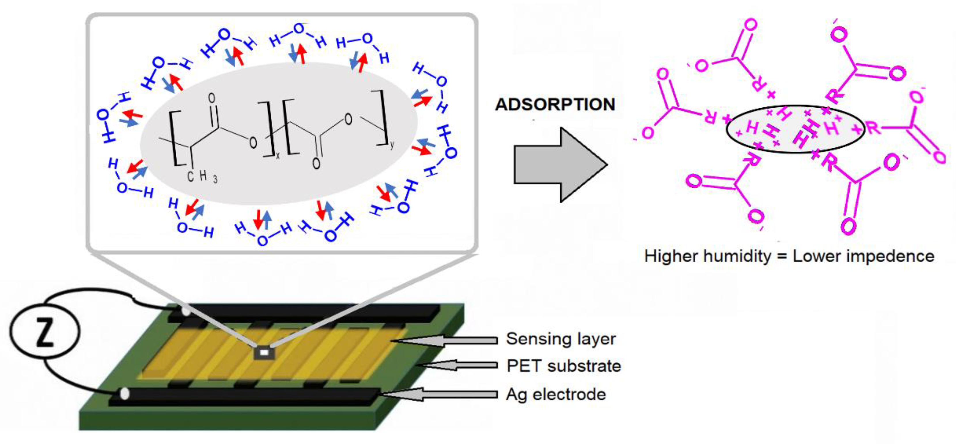 Chemosensors 09 00108 g009