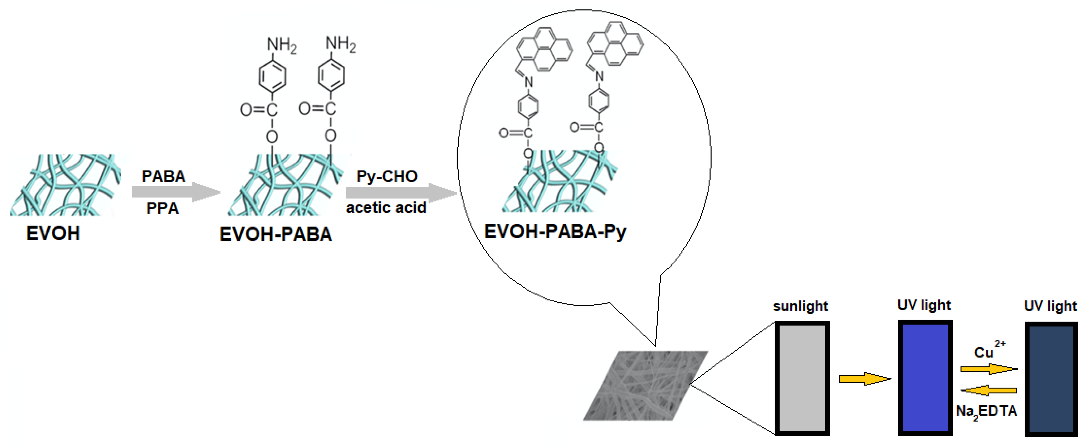Chemosensors 09 00108 g013