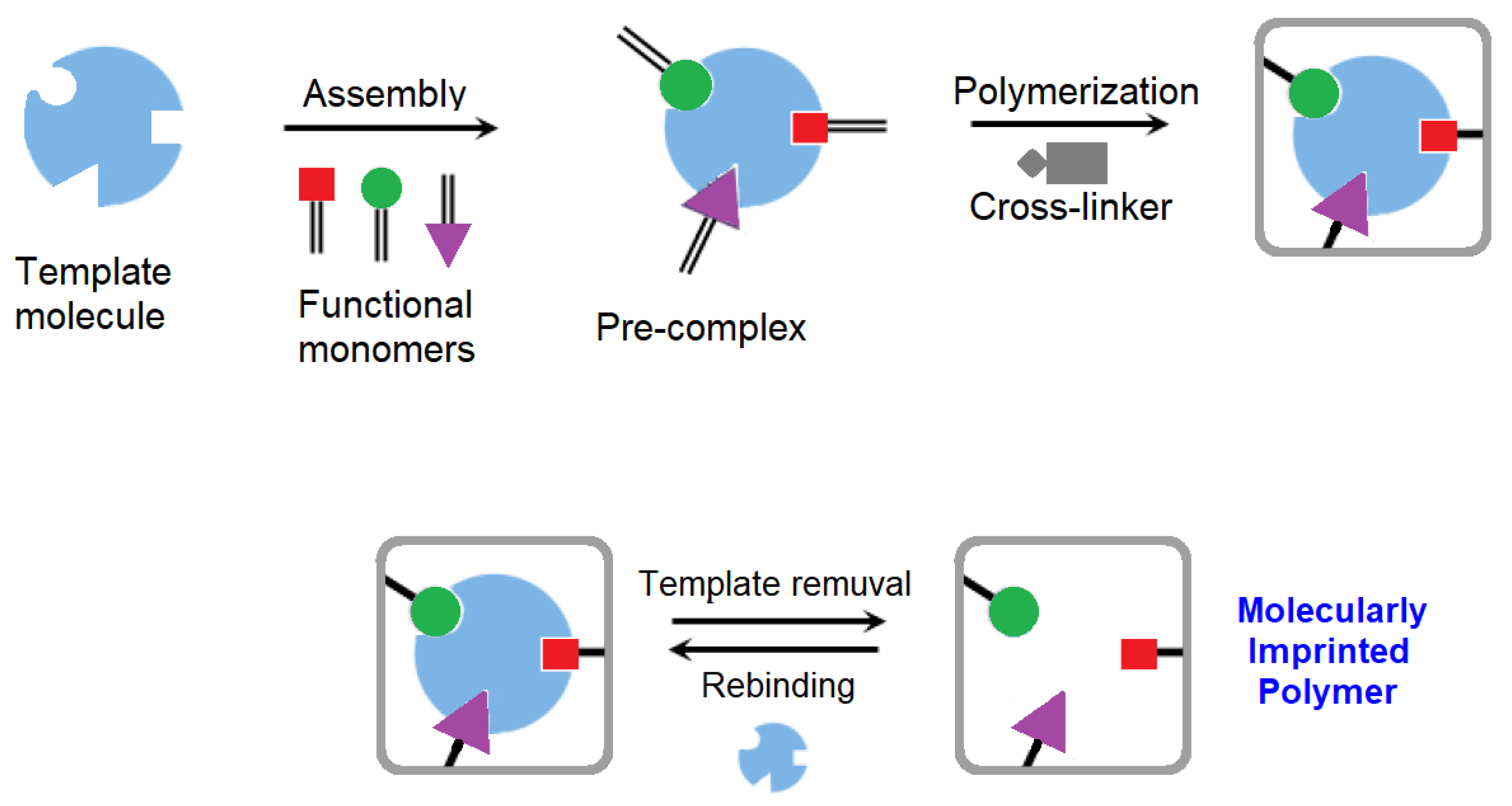 Chemosensors 09 00108 g019