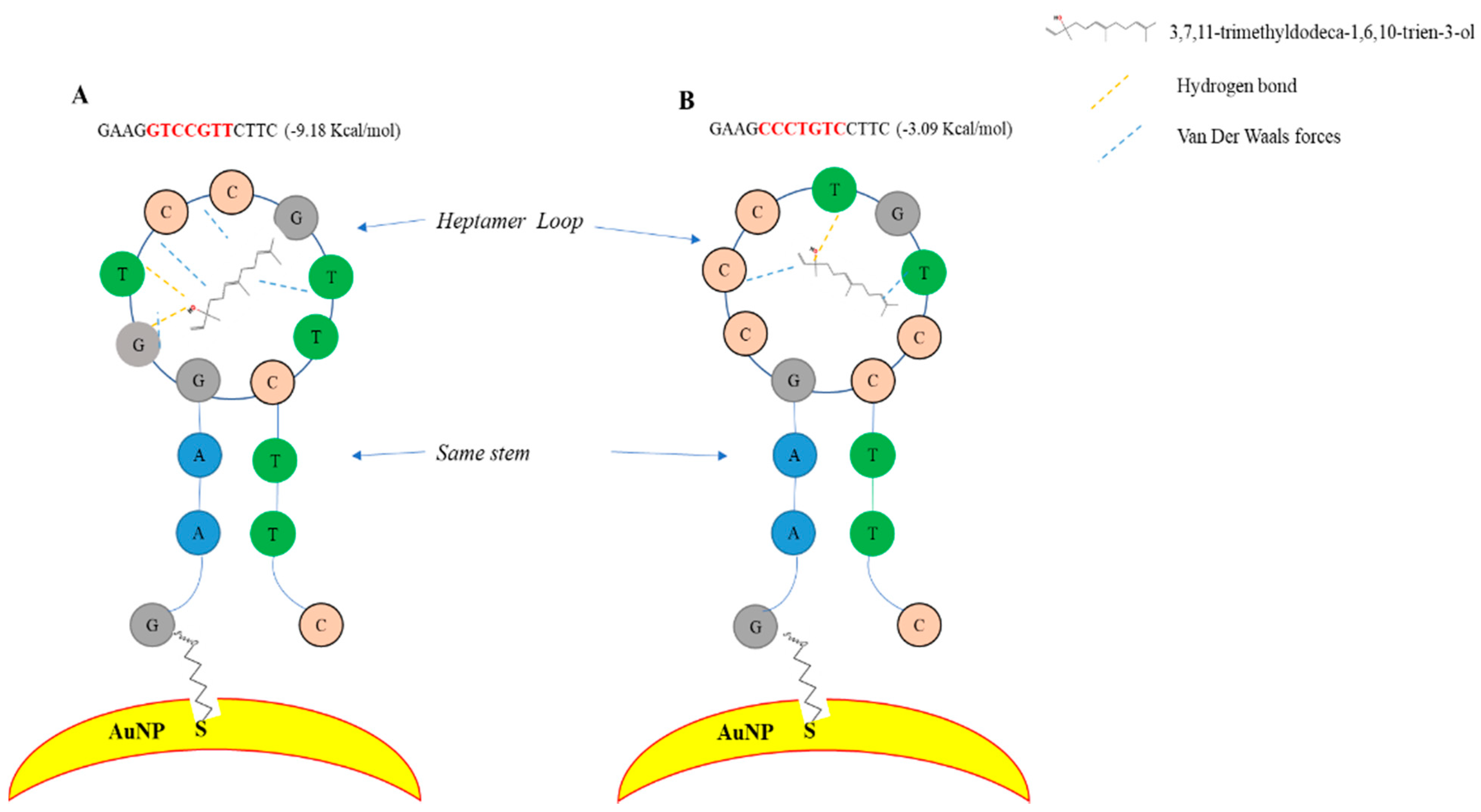 Chemosensors 09 00115 g001 Chemosensors 09 00115 g001