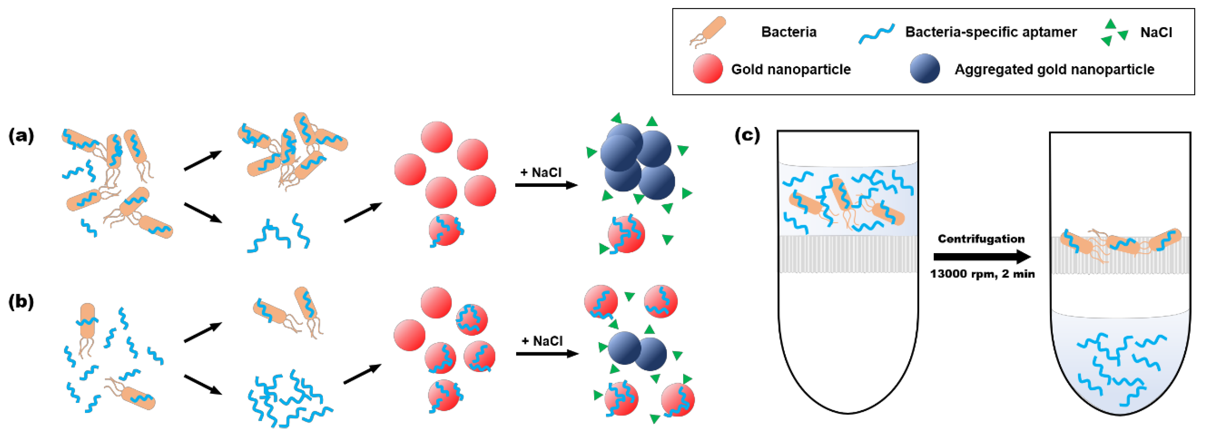 Chemosensors 09 00121 g003 Chemosensors 09 00121 g003