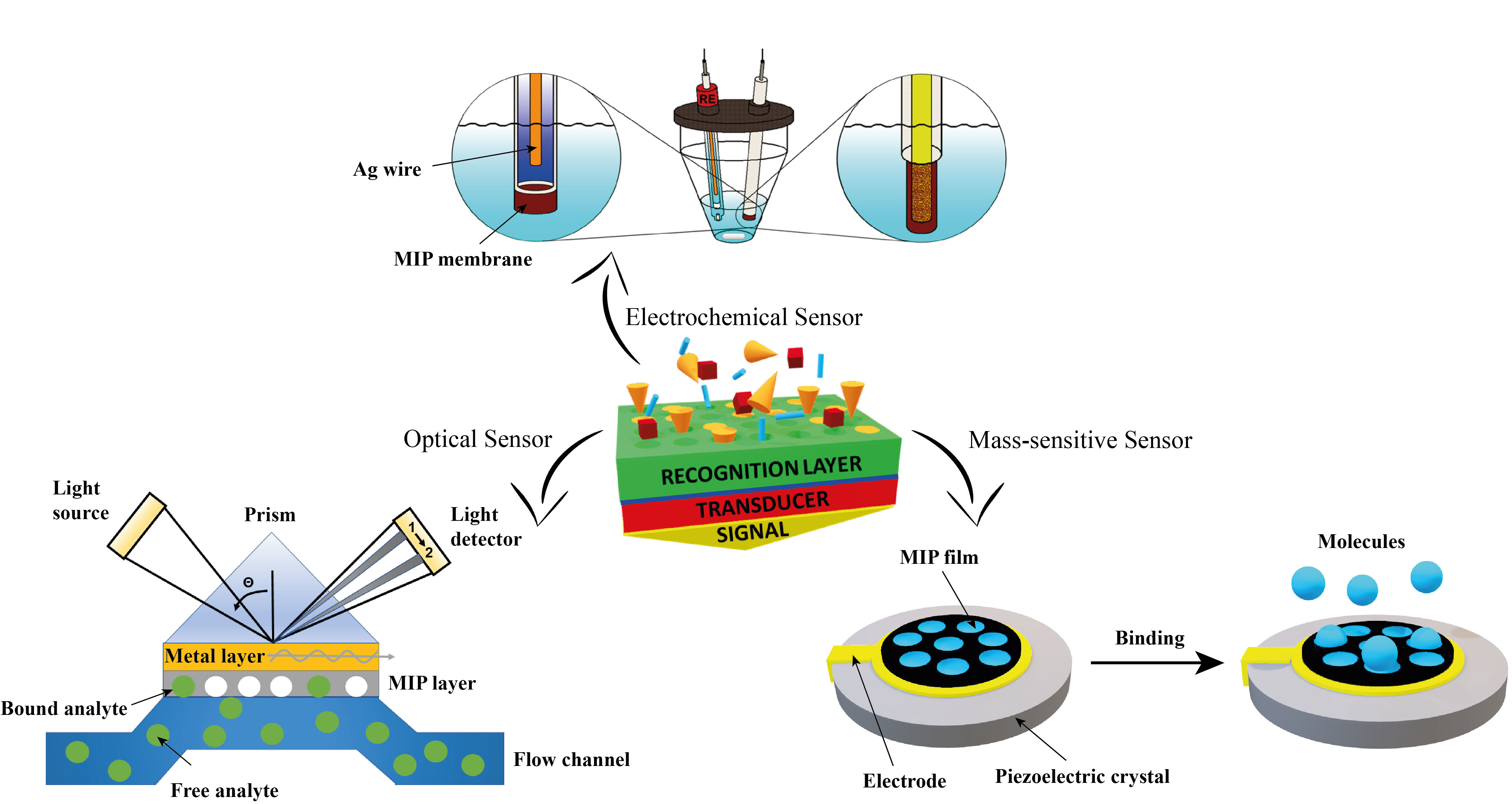 Chemosensors Free Full Text Molecularly Imprinted Polymers For