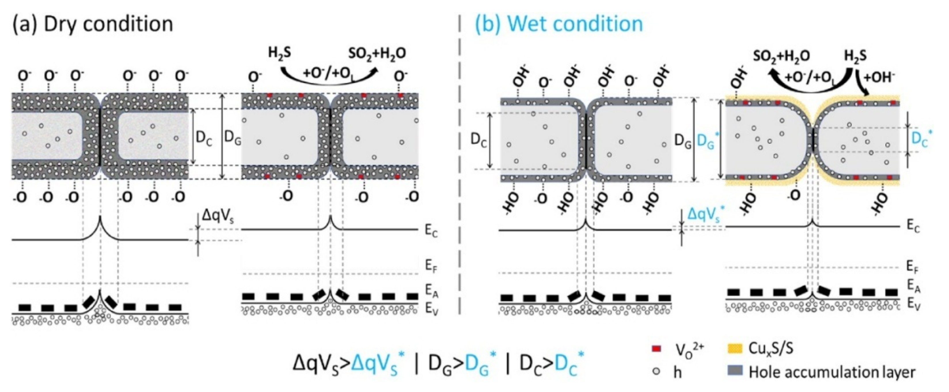 Chemosensors 09 00127 g002
