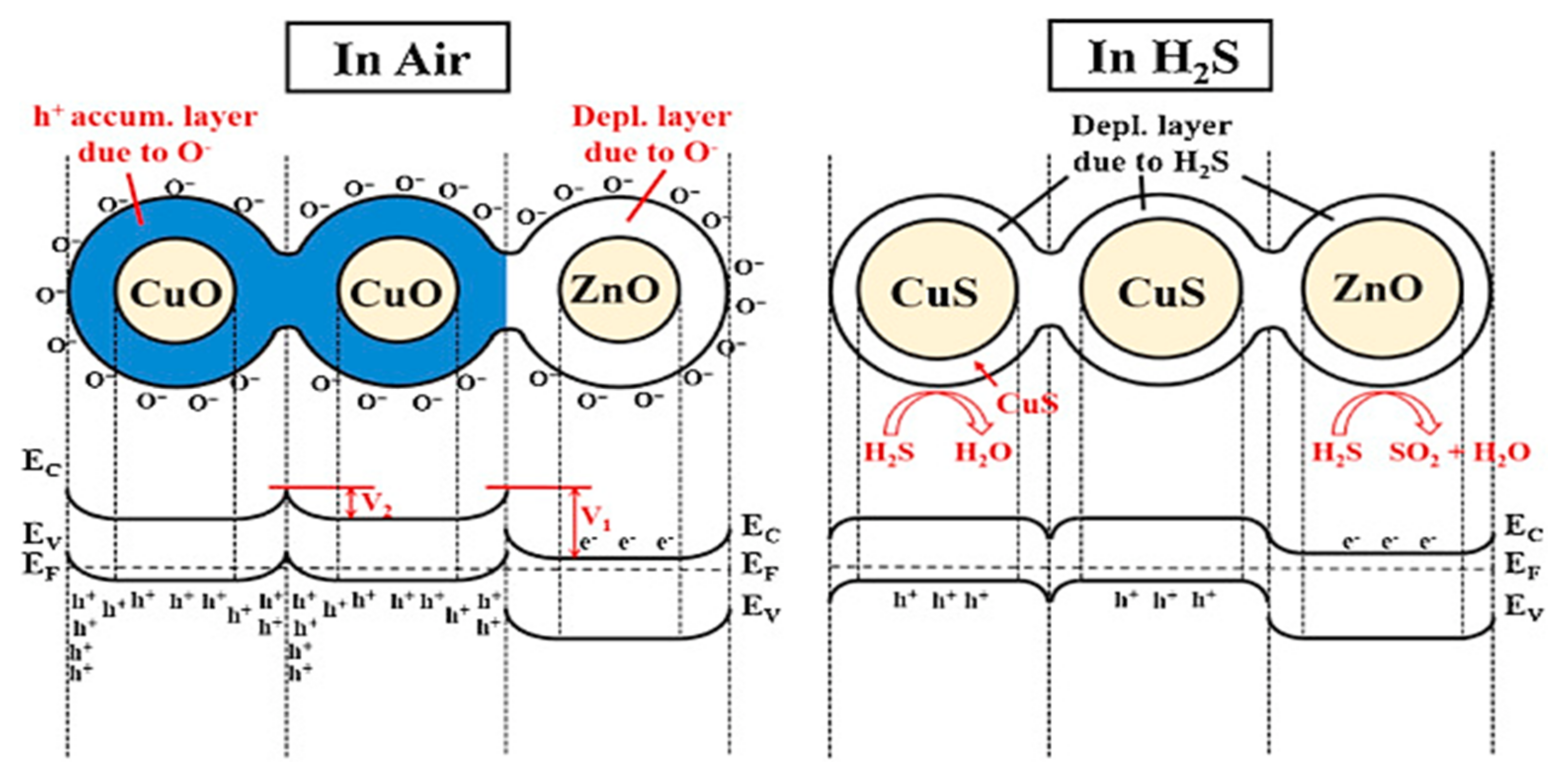 Chemosensors 09 00127 g008