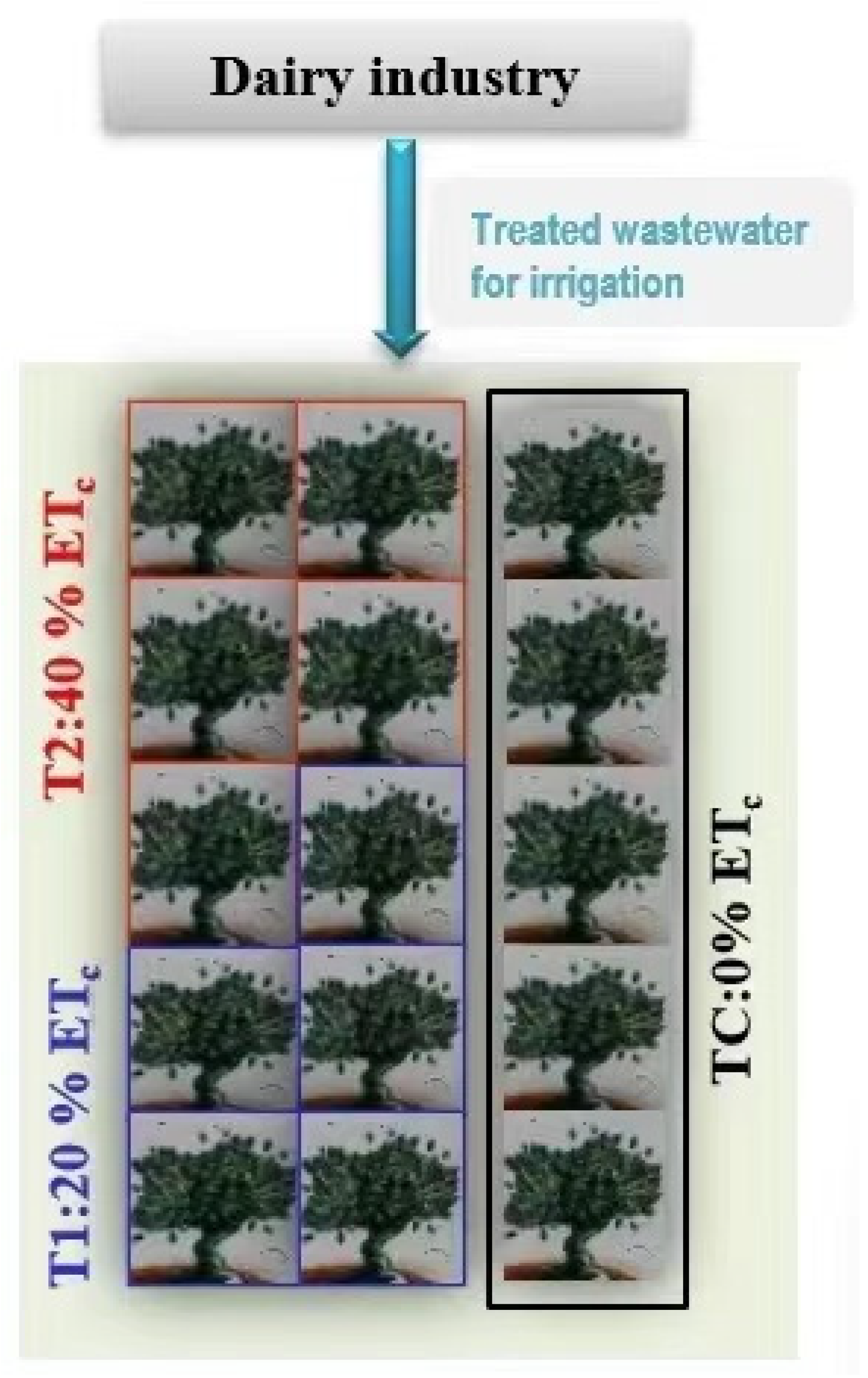 Chemosensors 09 00130 g001