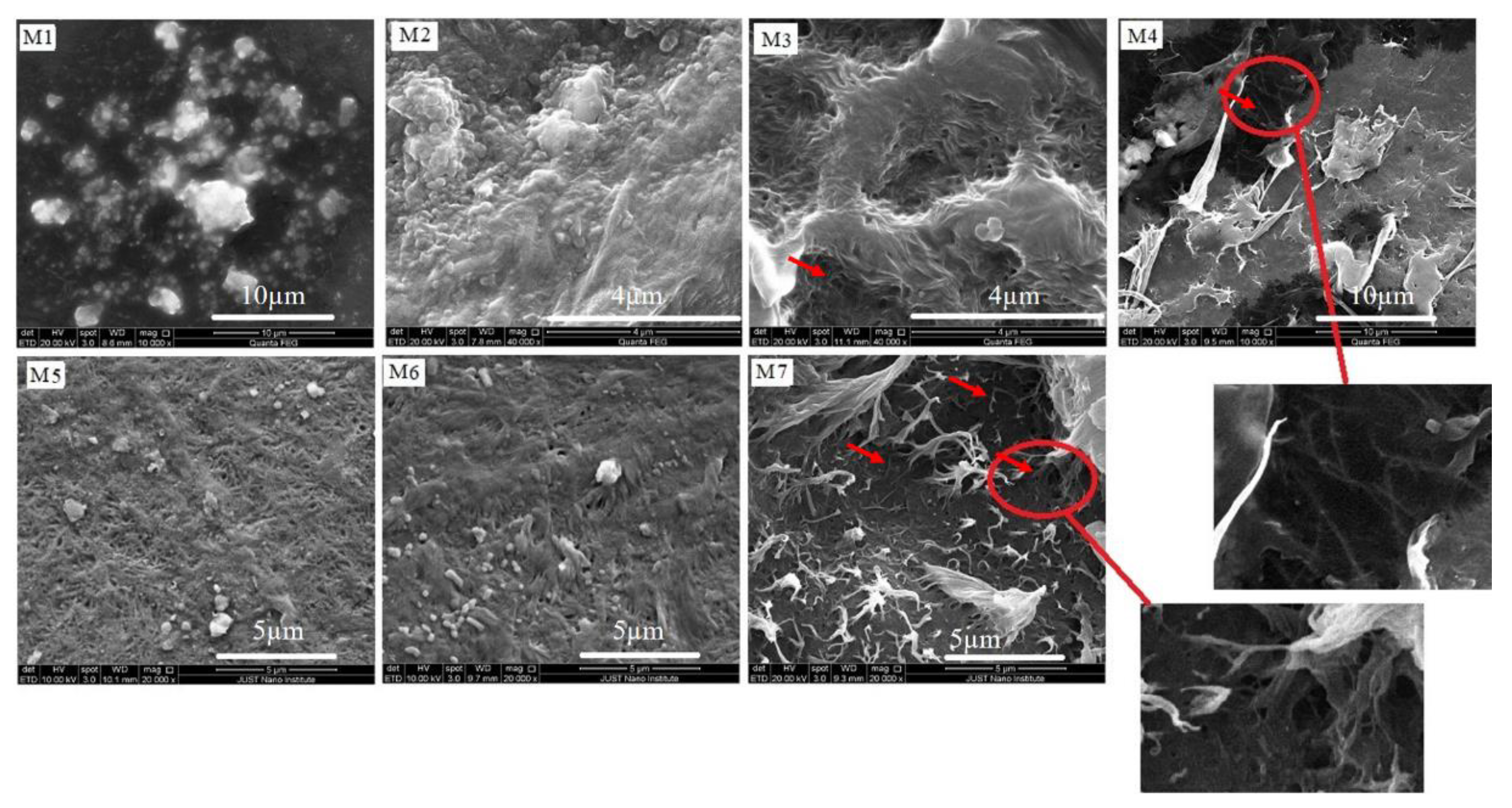 Chemosensors 09 00136 g007 Chemosensors 09 00136 g007