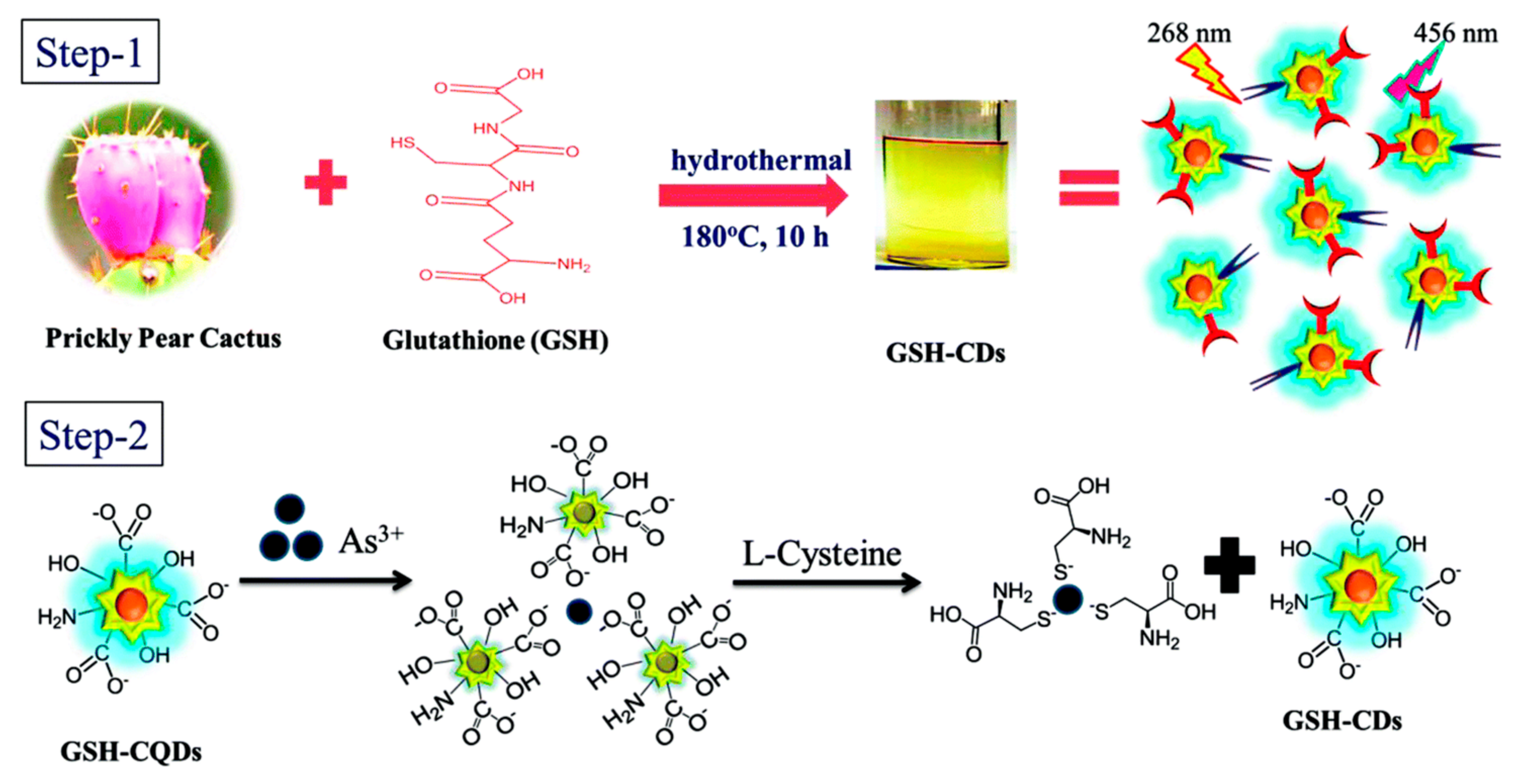 Chemosensors 09 00138 g005 Chemosensors 09 00138 g005