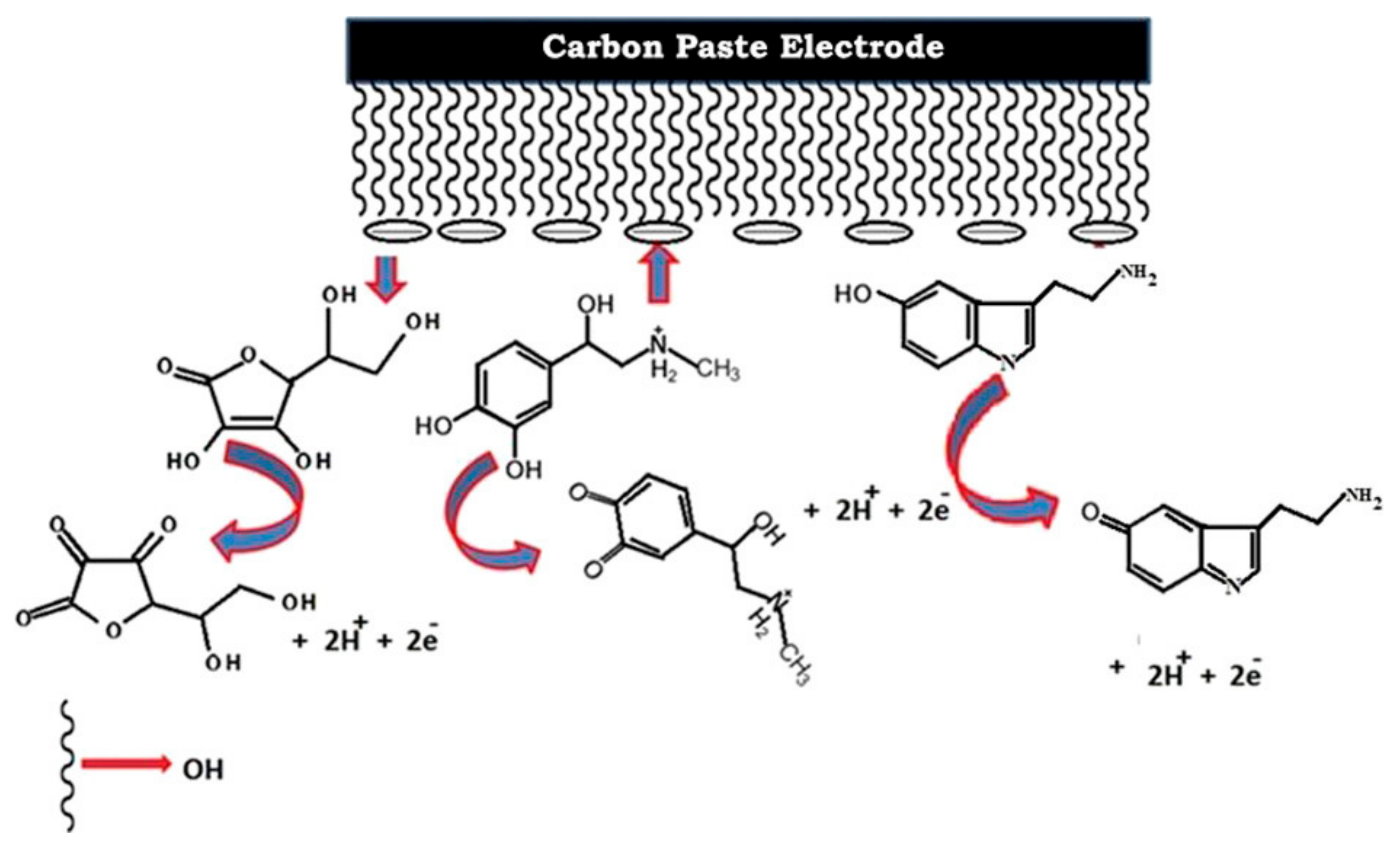 Chemosensors 09 00138 g008 Chemosensors 09 00138 g008