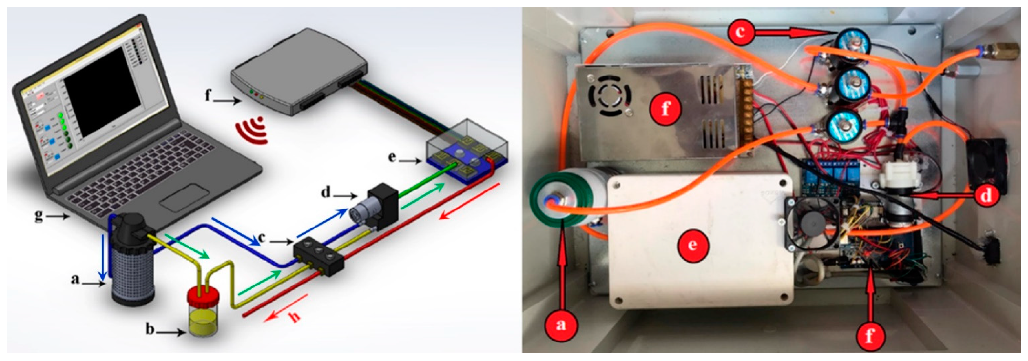 Chemosensors 09 00142 g001