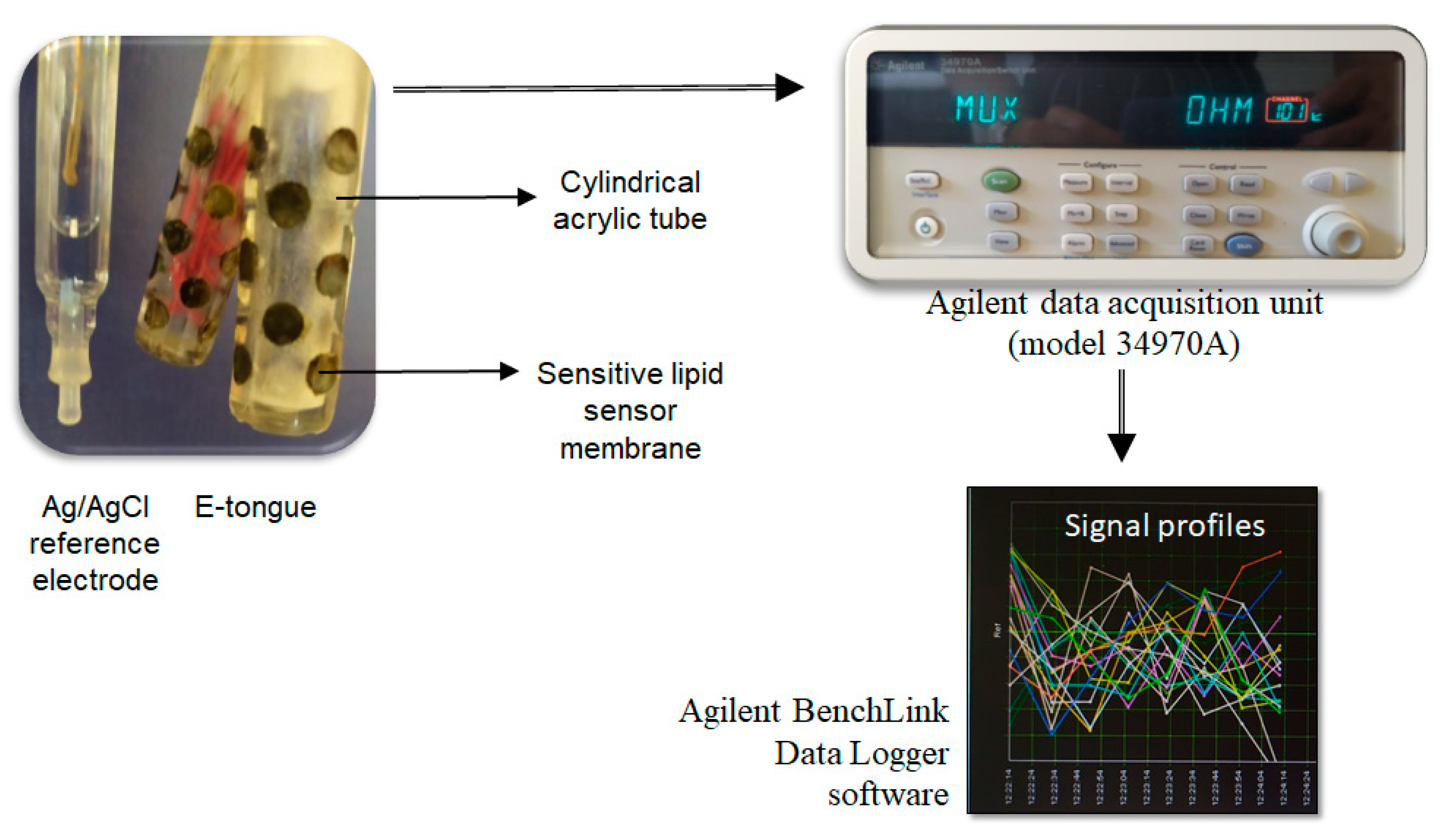 Chemosensors 09 00143 g001 Chemosensors 09 00143 g001