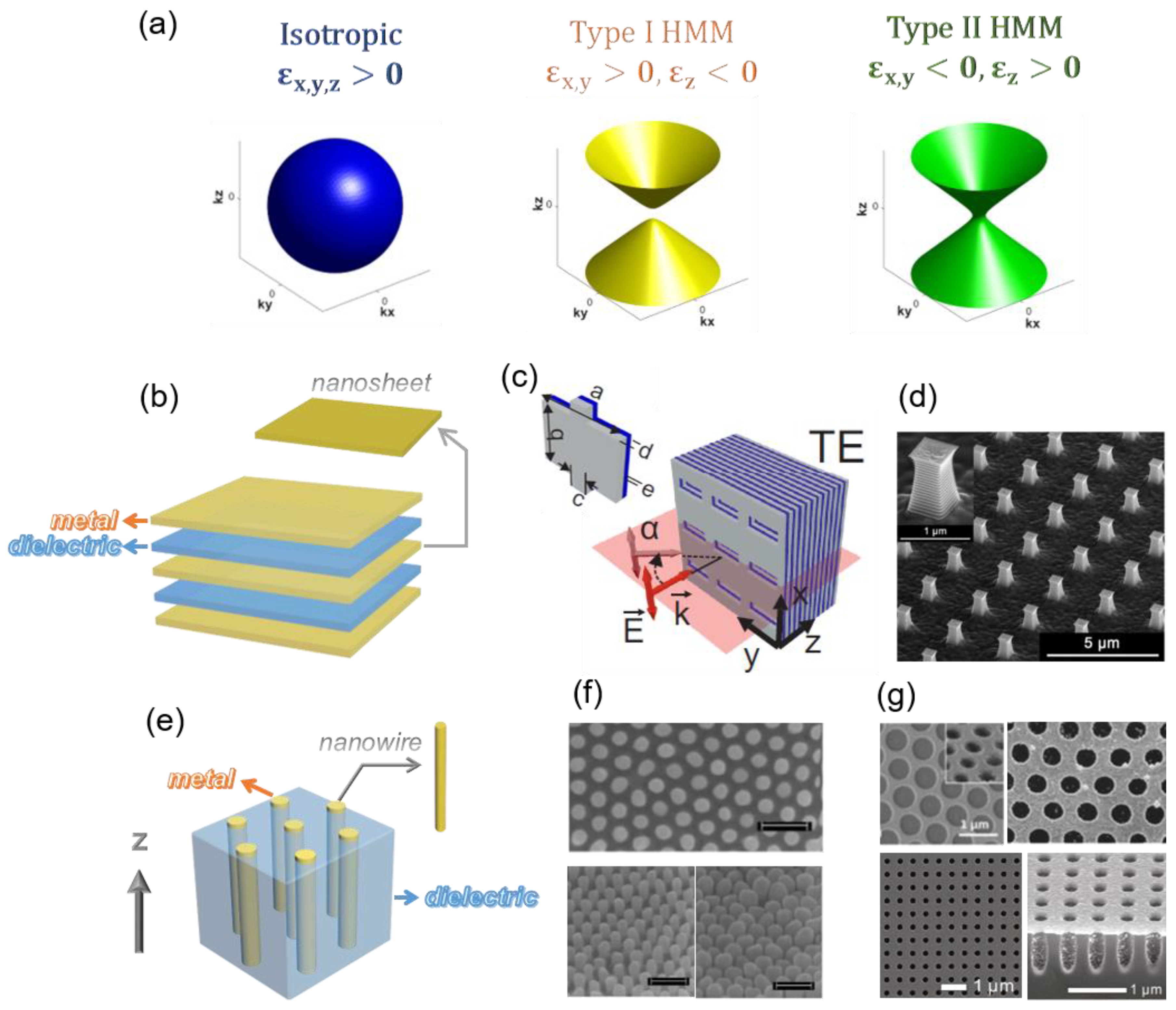 Chemosensors 09 00145 g001