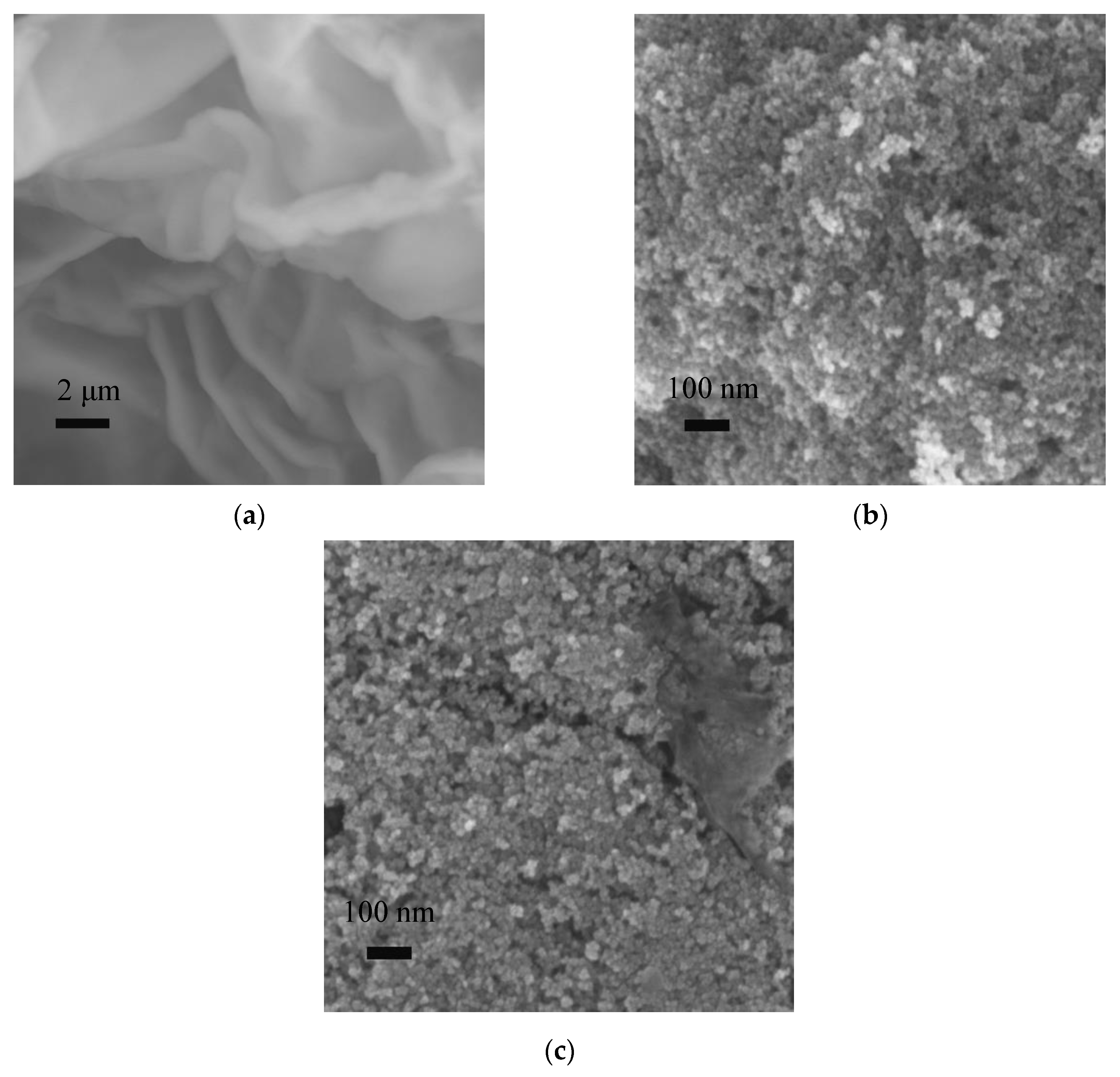 Chemosensors 09 00150 g001