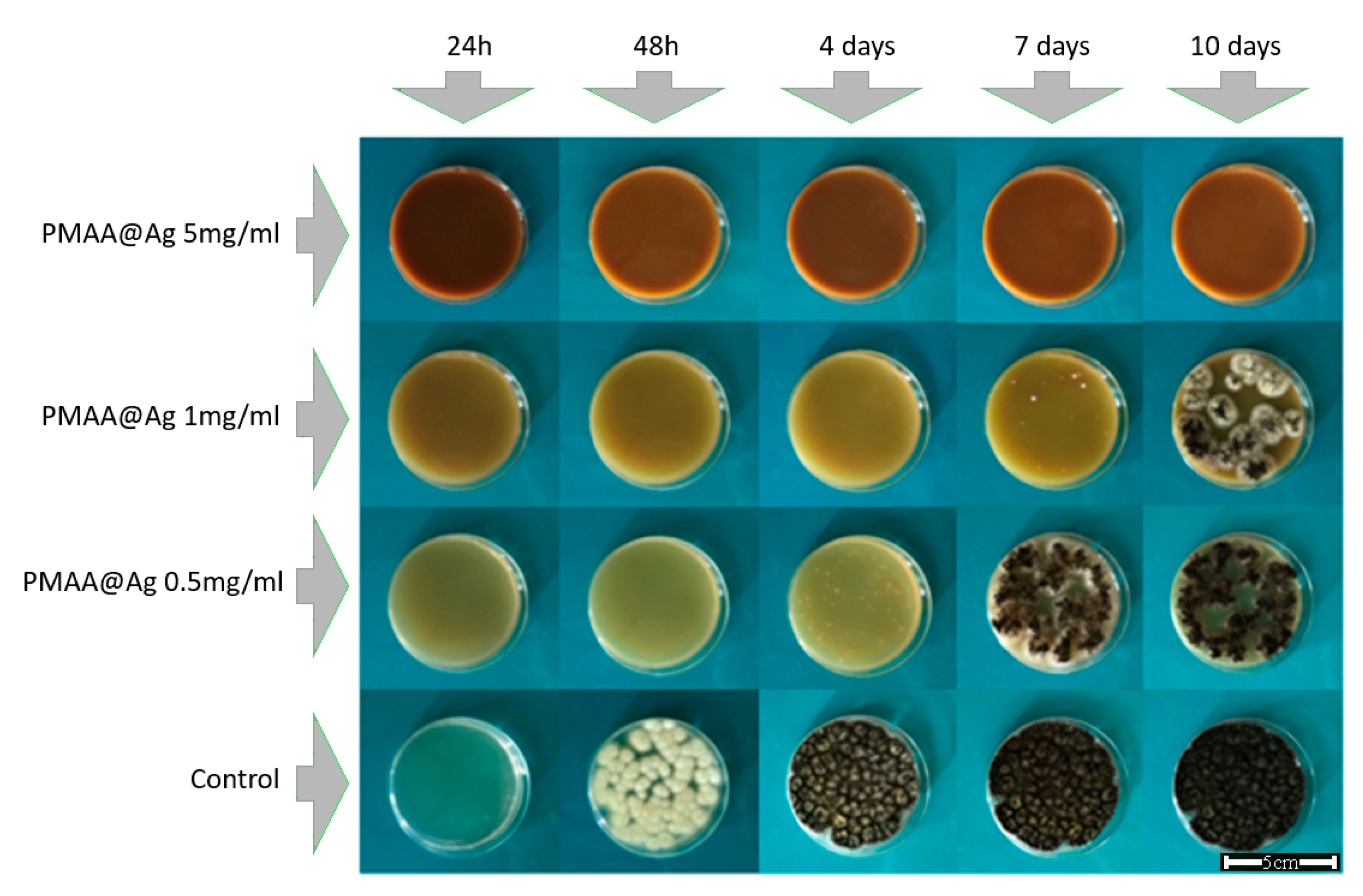 Chemosensors 09 00152 g008