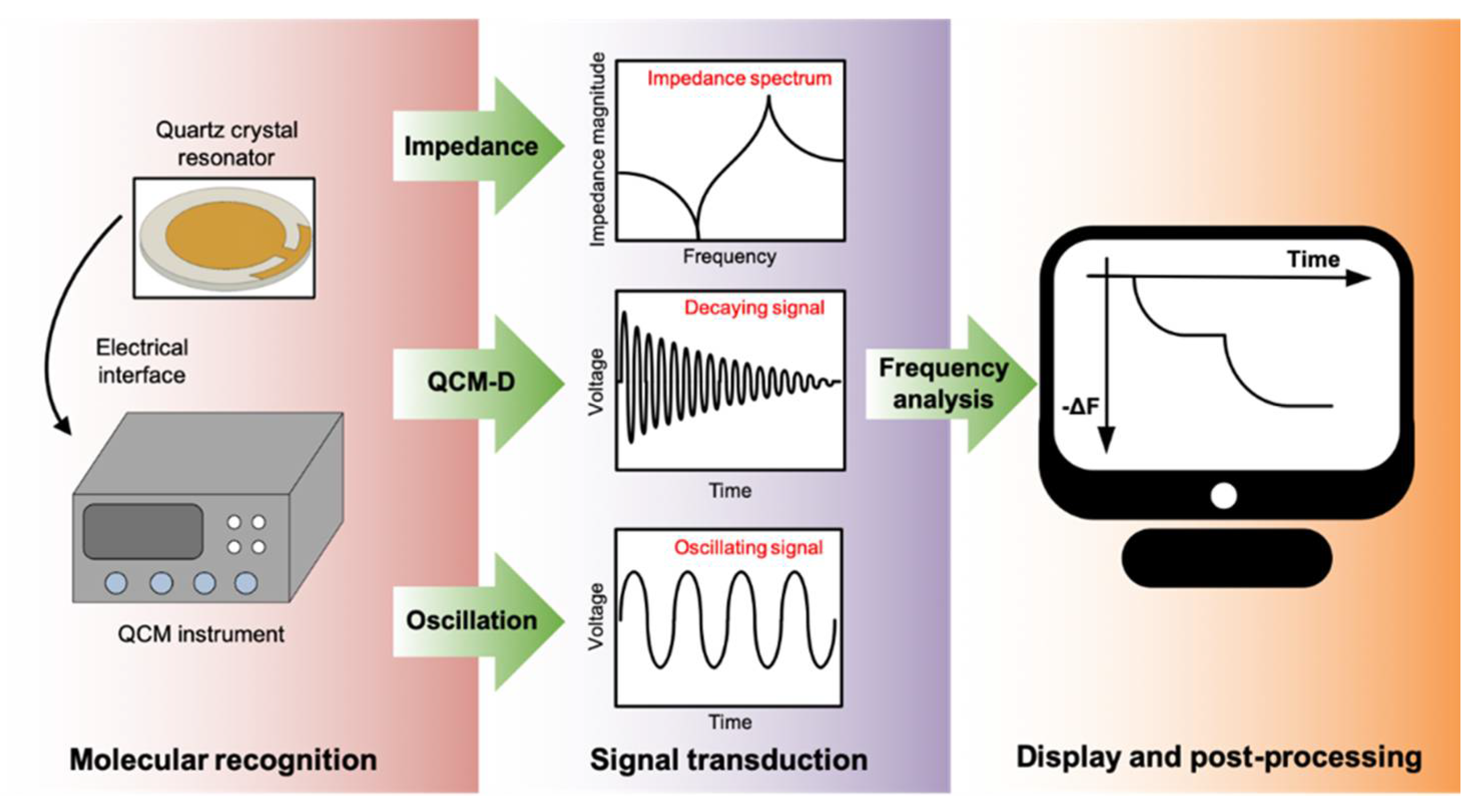 Chemosensors 09 00153 g012