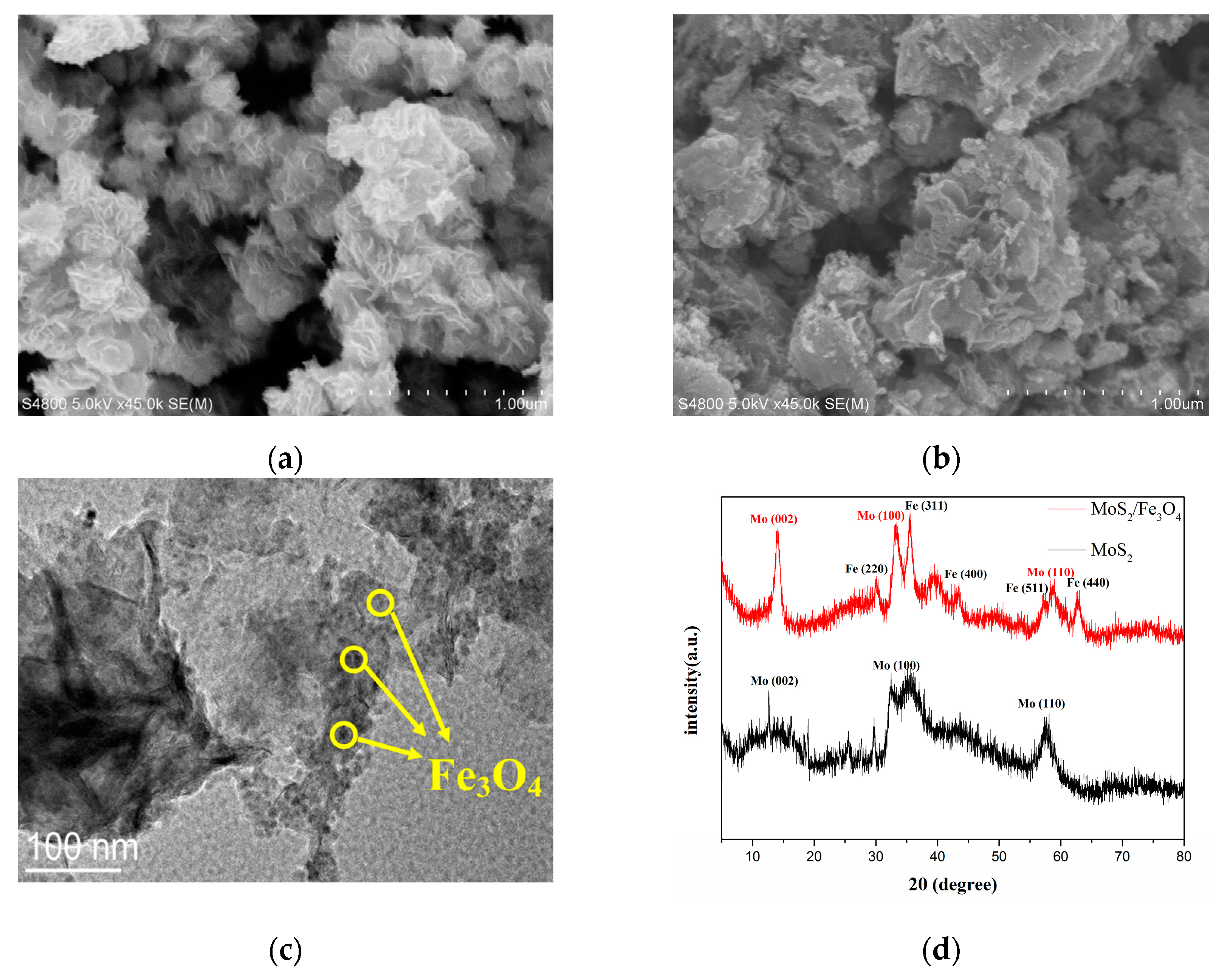 Chemosensors 09 00155 g001