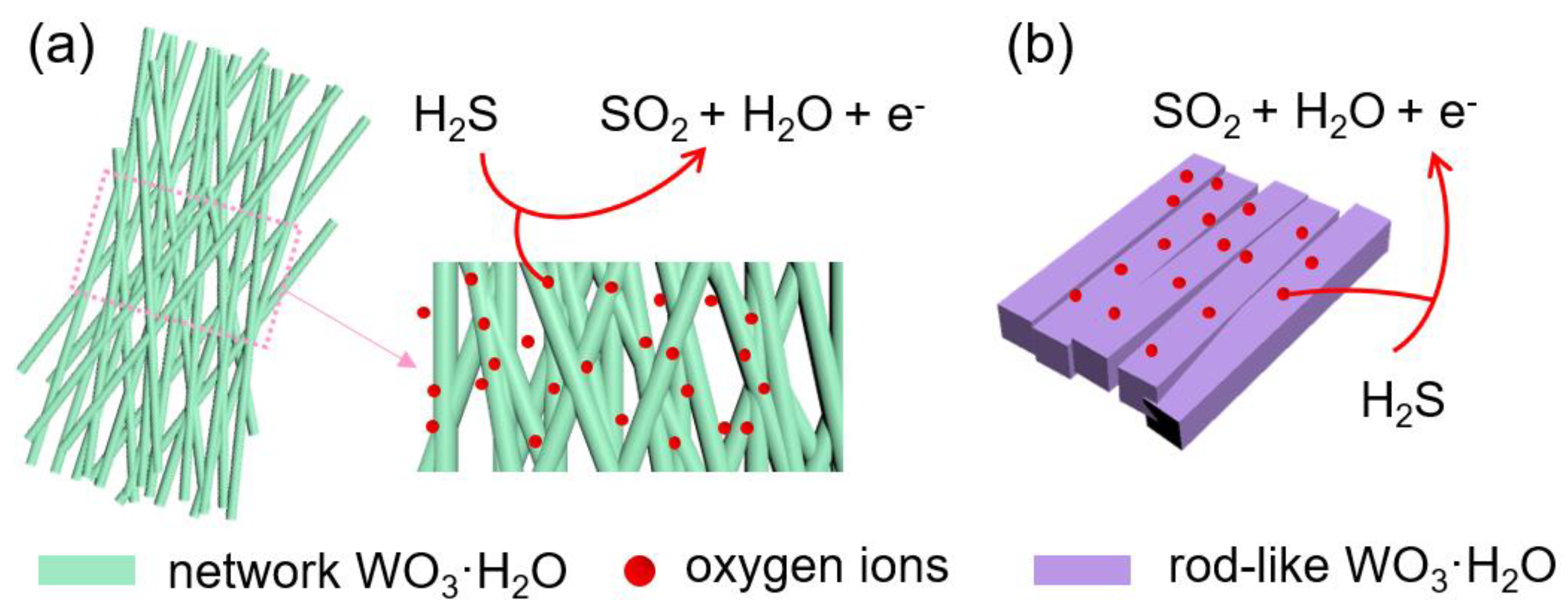 Chemosensors 09 00156 g007