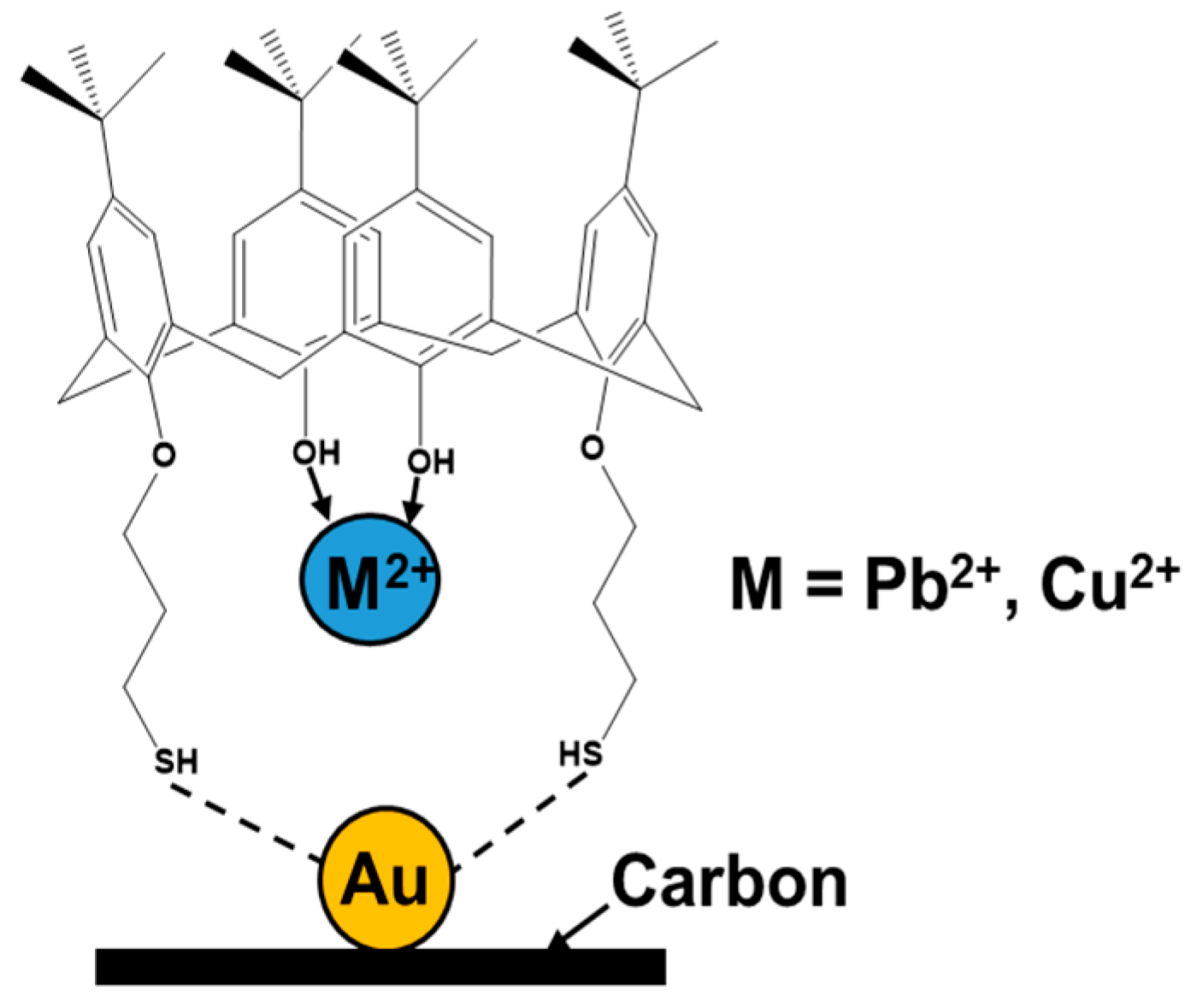 Chemosensors 09 00157 g006 Chemosensors 09 00157 g006