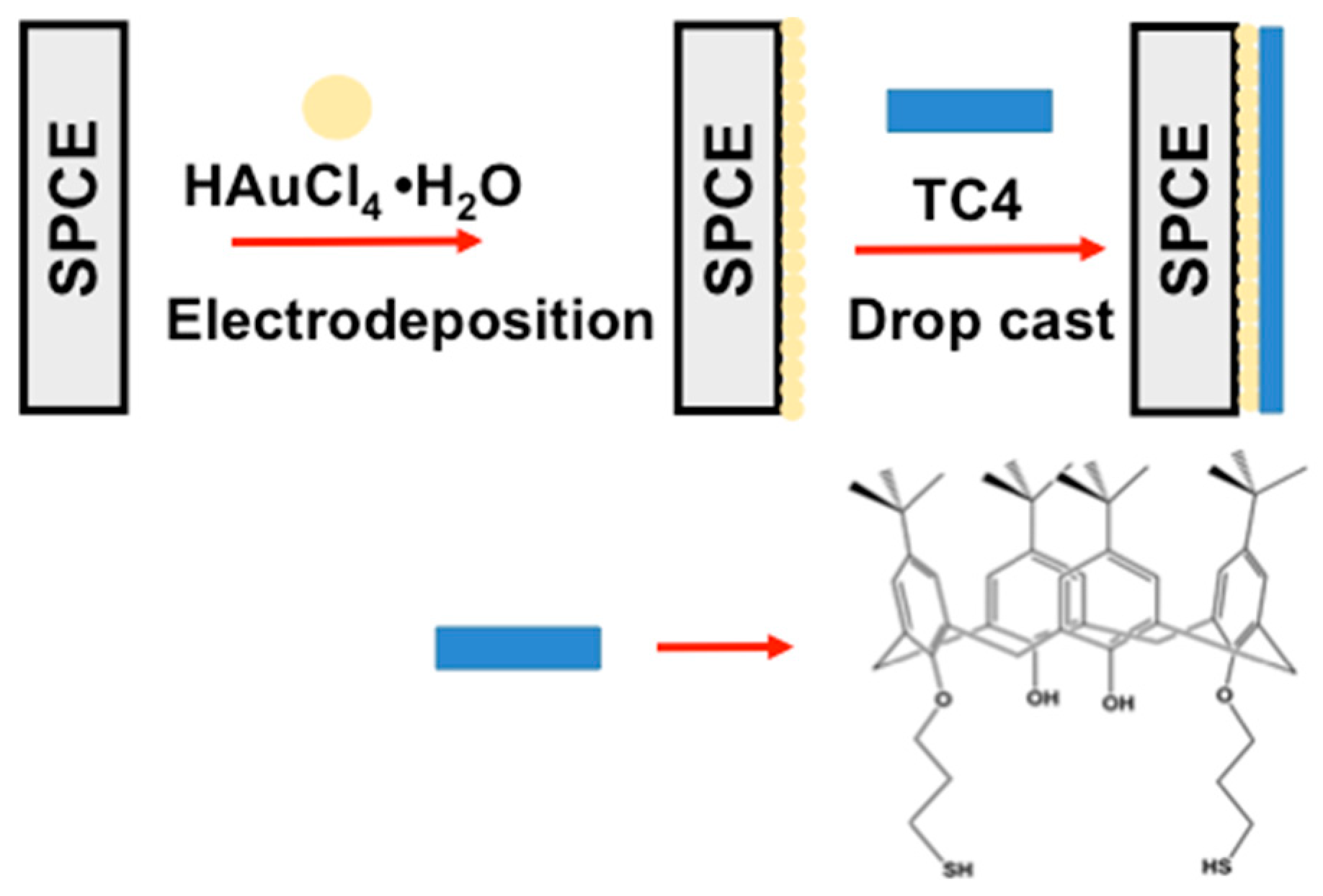 Chemosensors 09 00157 sch001 Chemosensors 09 00157 sch001