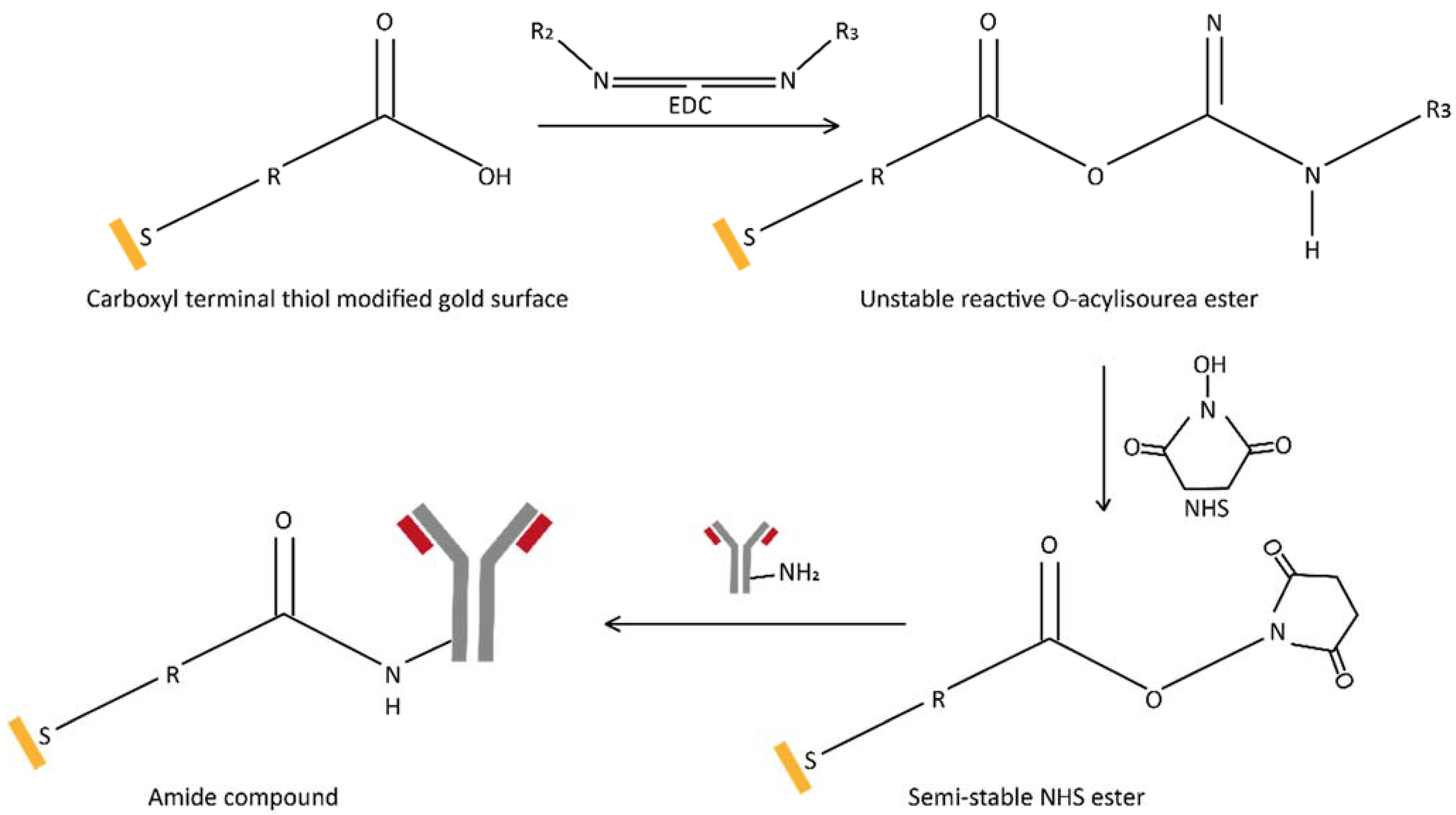 Chemosensors 09 00159 g002