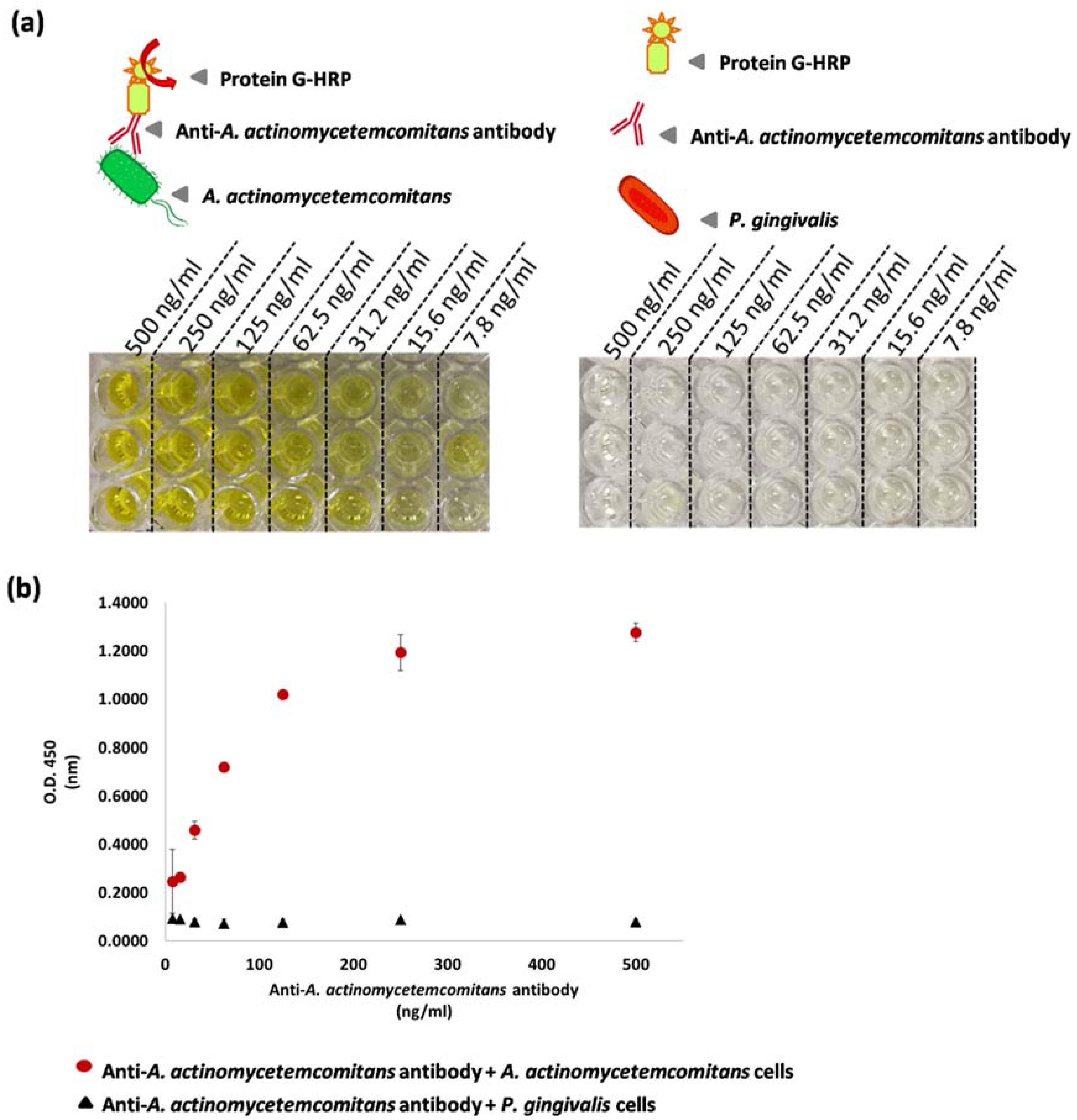 Chemosensors 09 00159 g004