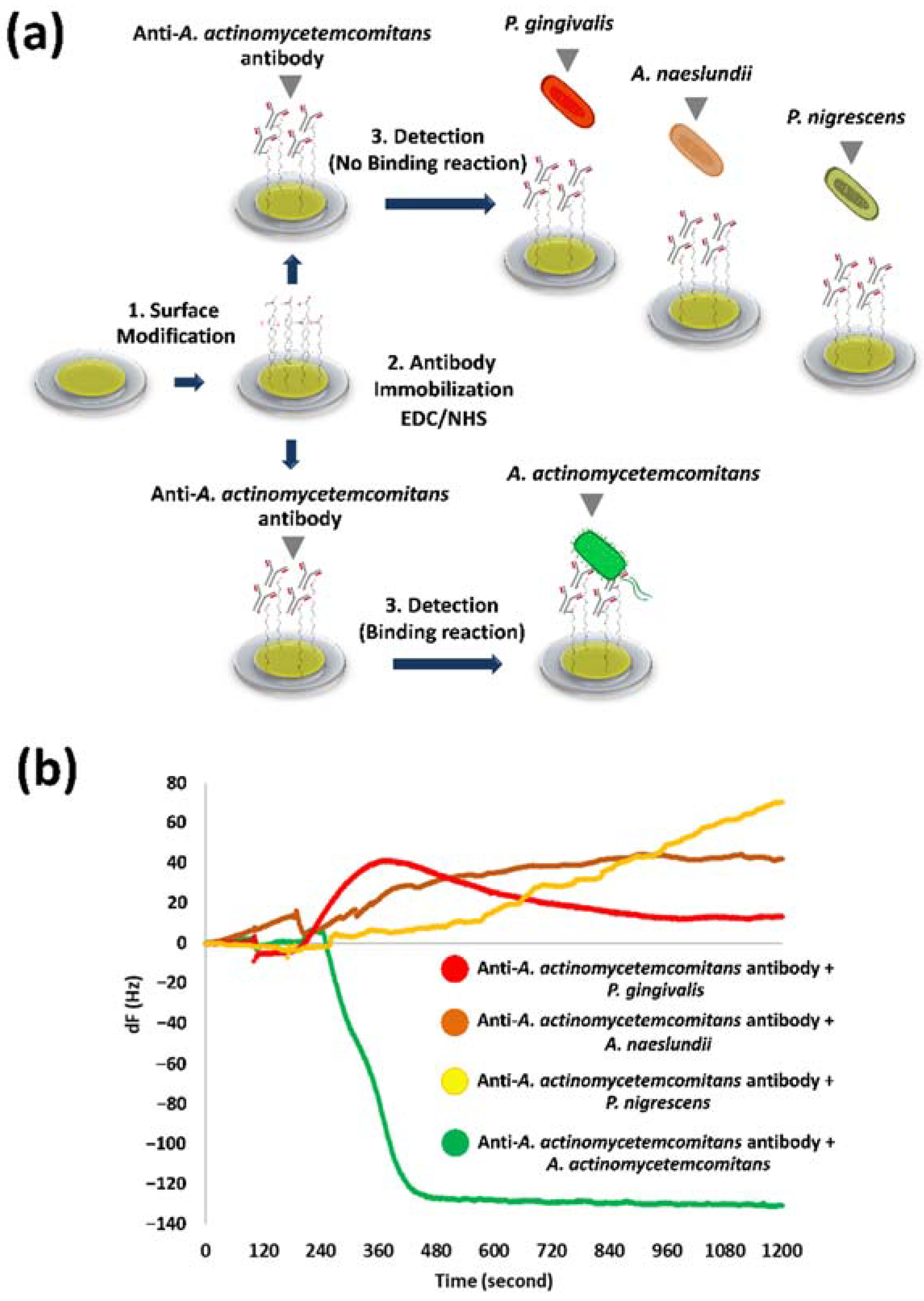 Chemosensors 09 00159 g005