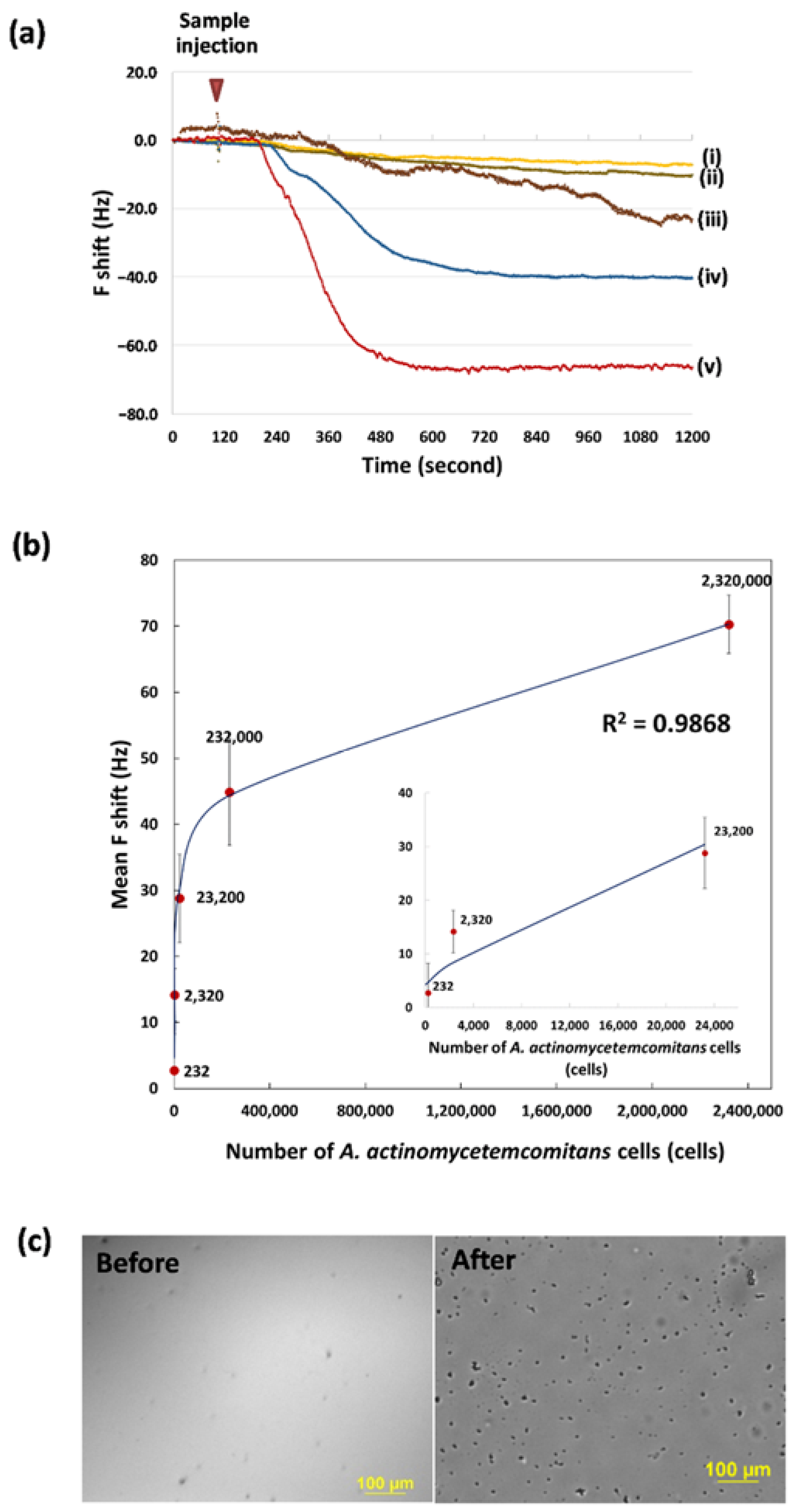 Chemosensors 09 00159 g006
