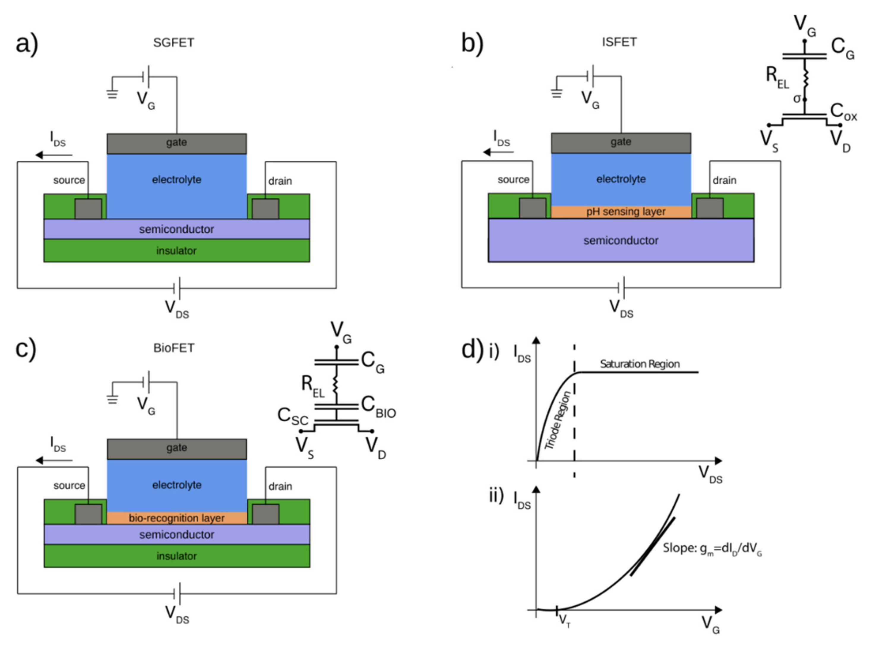 Chemosensors 09 00162 g001 550
