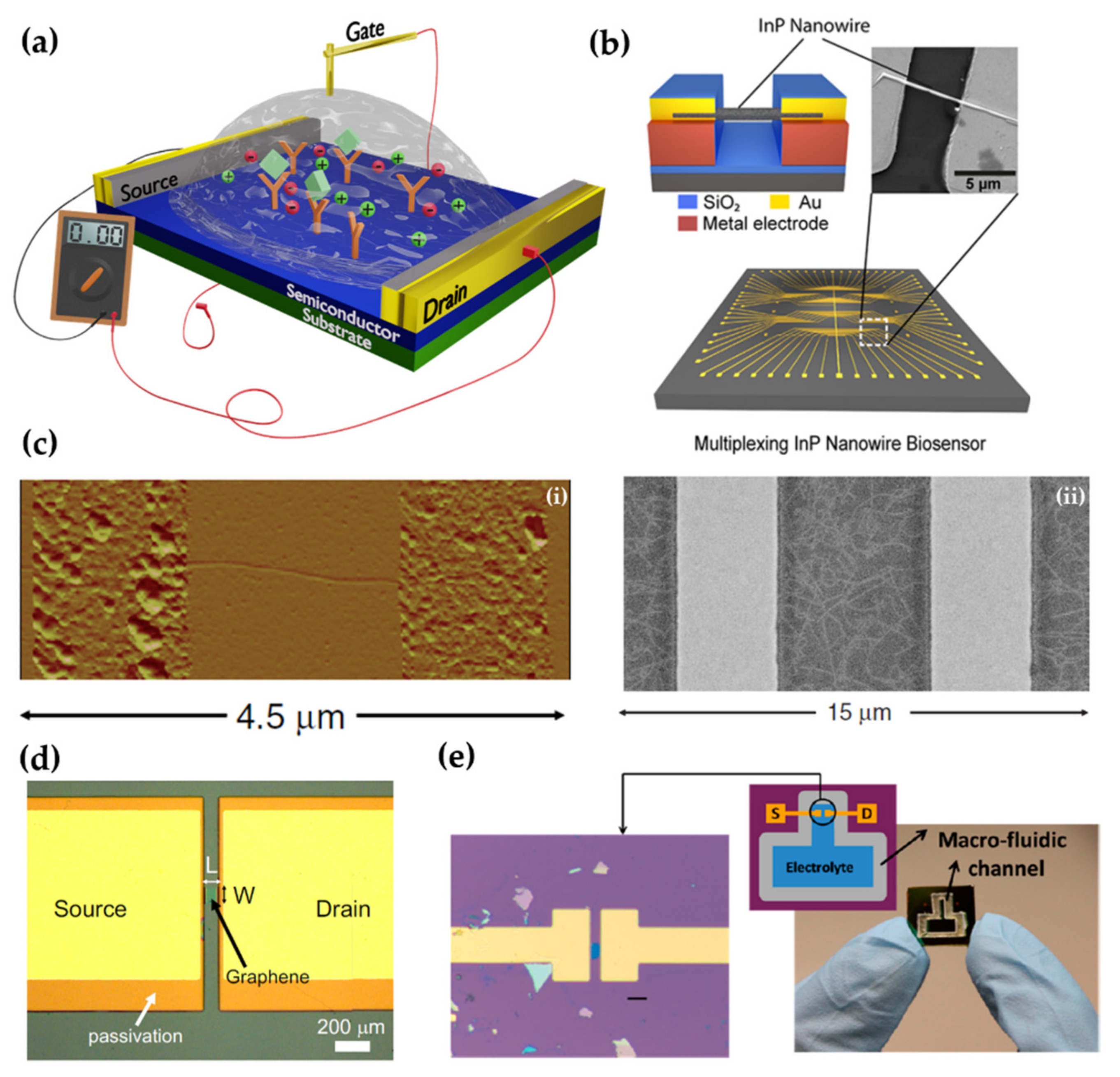 Chemosensors 09 00162 g002 550
