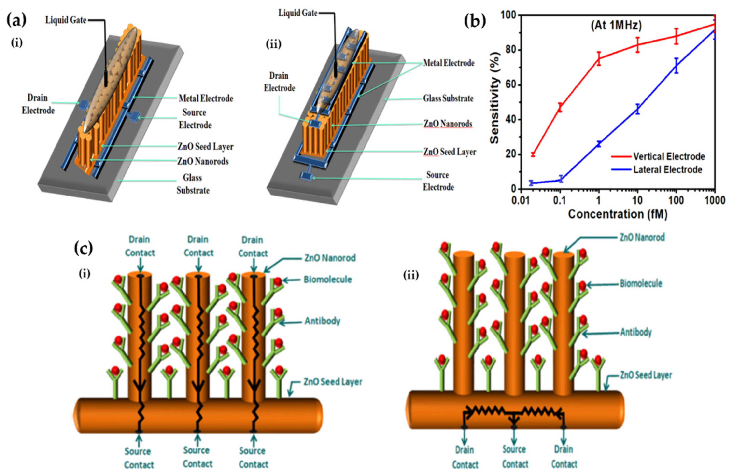 Chemosensors 09 00162 g005 550