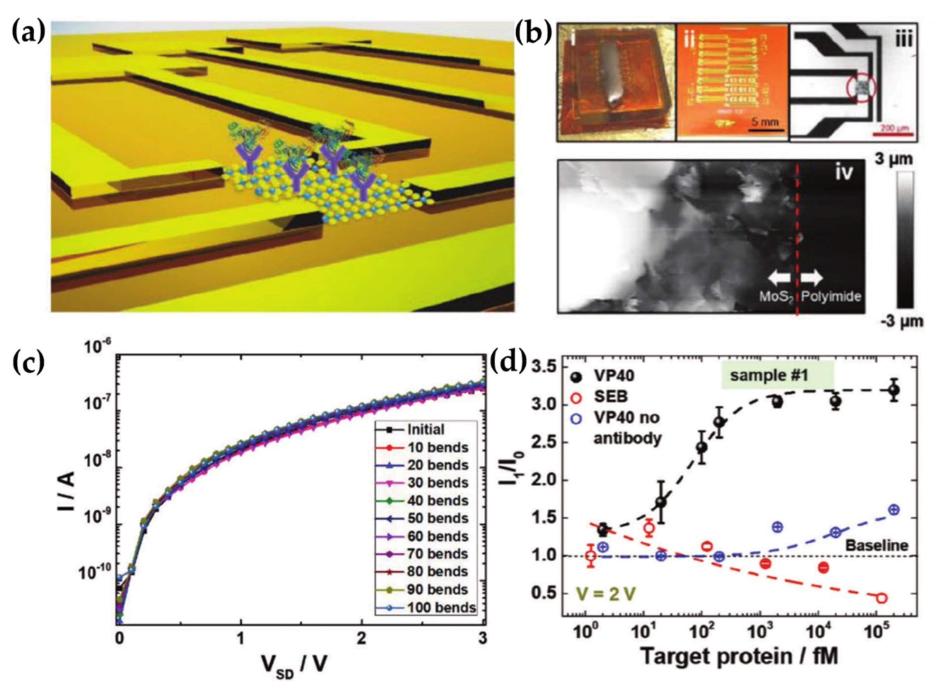 Chemosensors 09 00162 g007 550