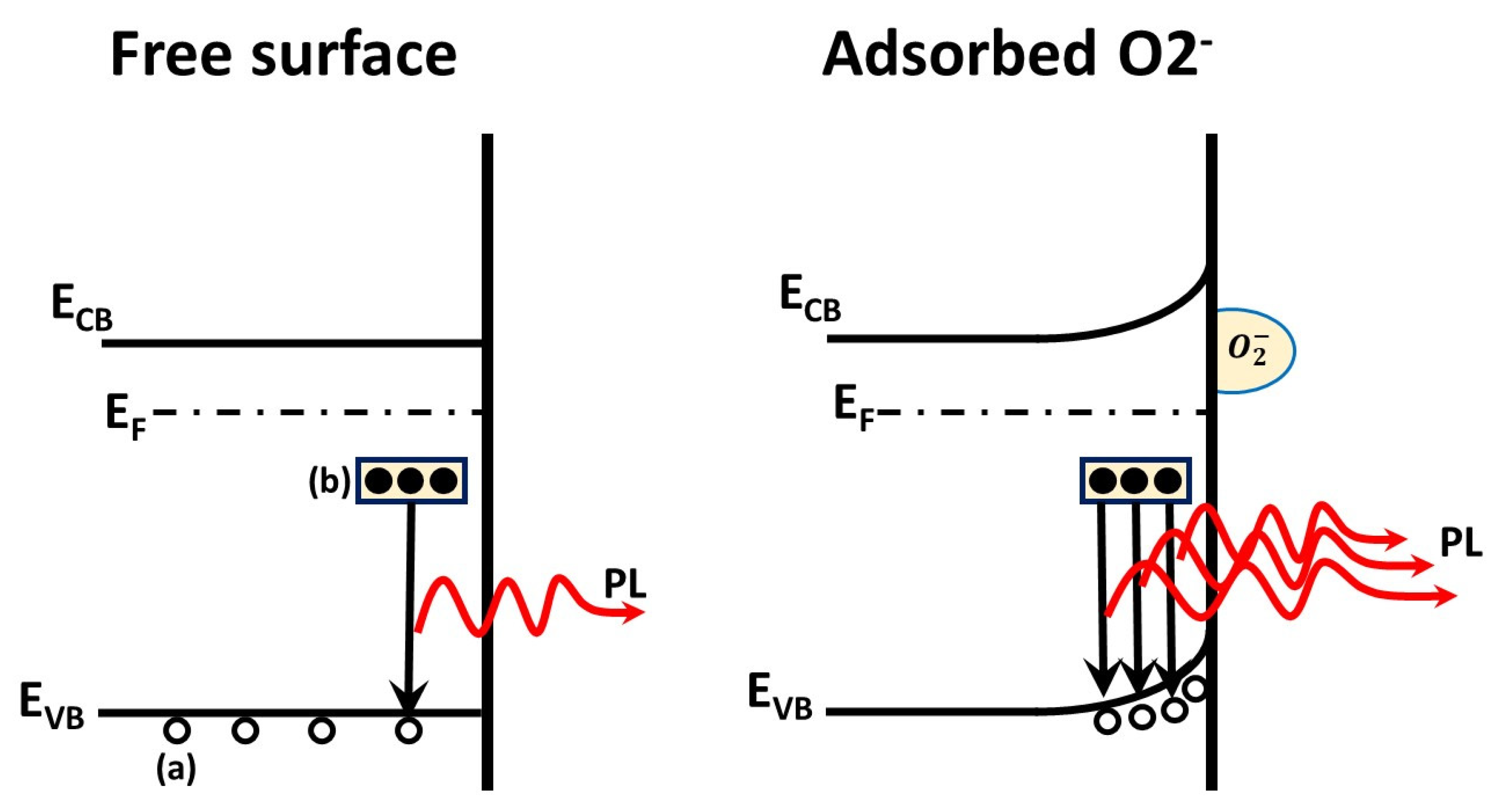 Chemosensors 09 00163 g008