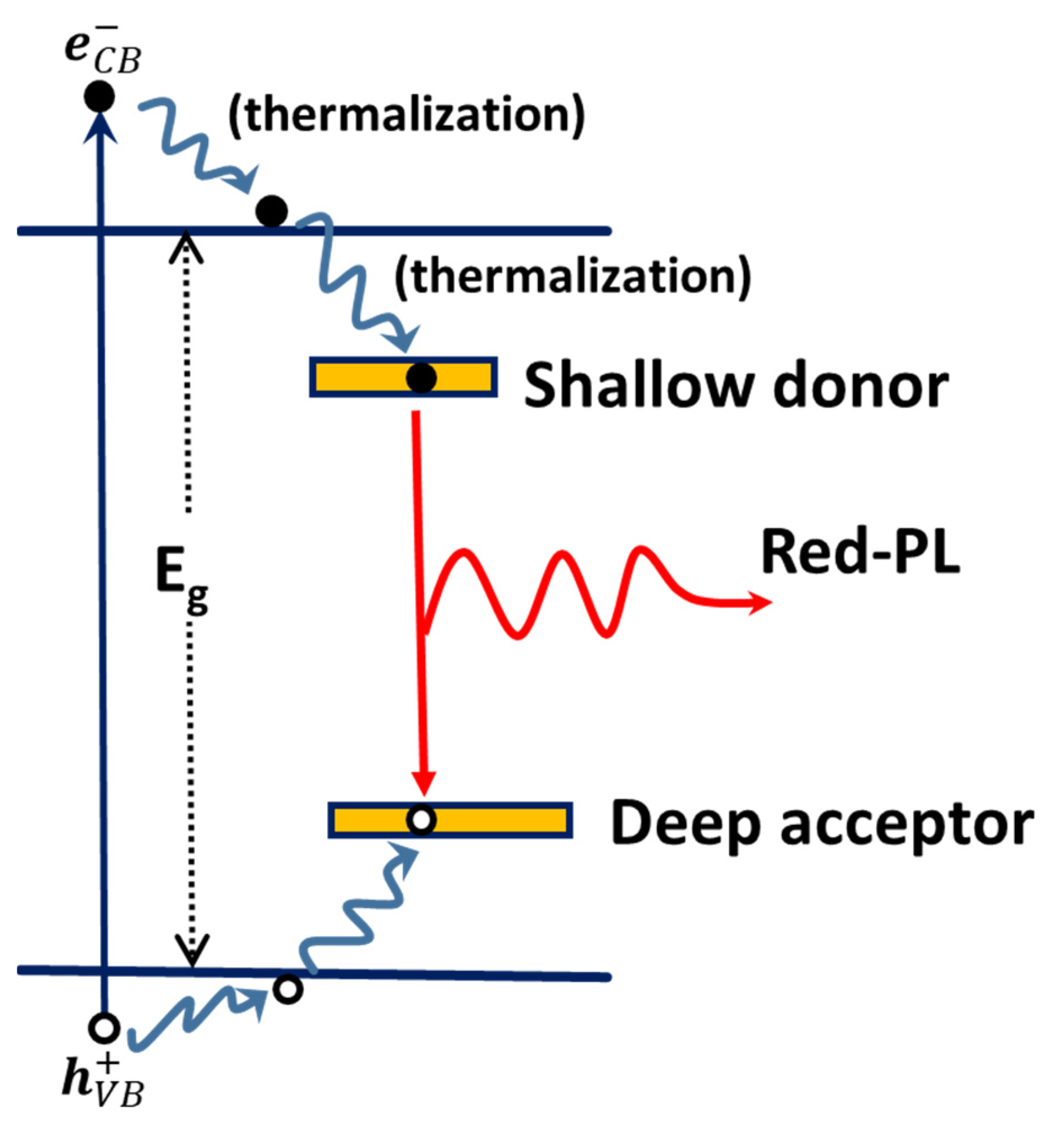 Chemosensors 09 00163 g009