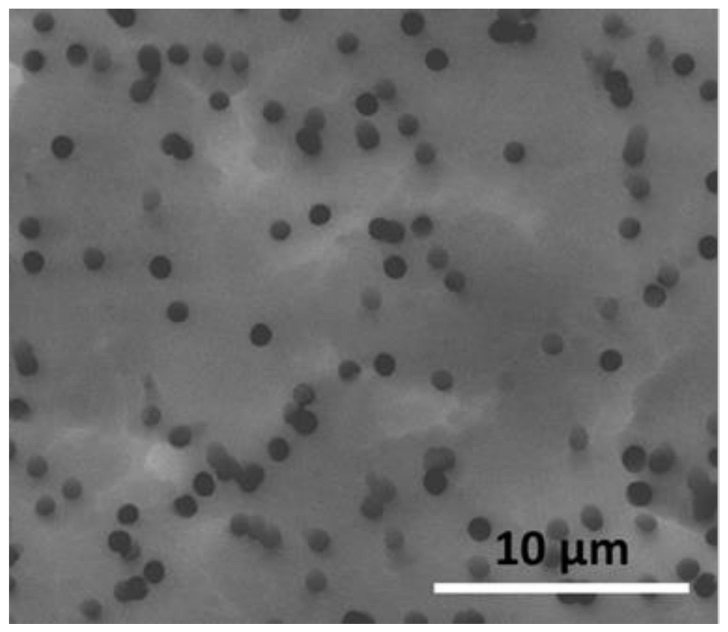 Chemosensors 09 00164 g002