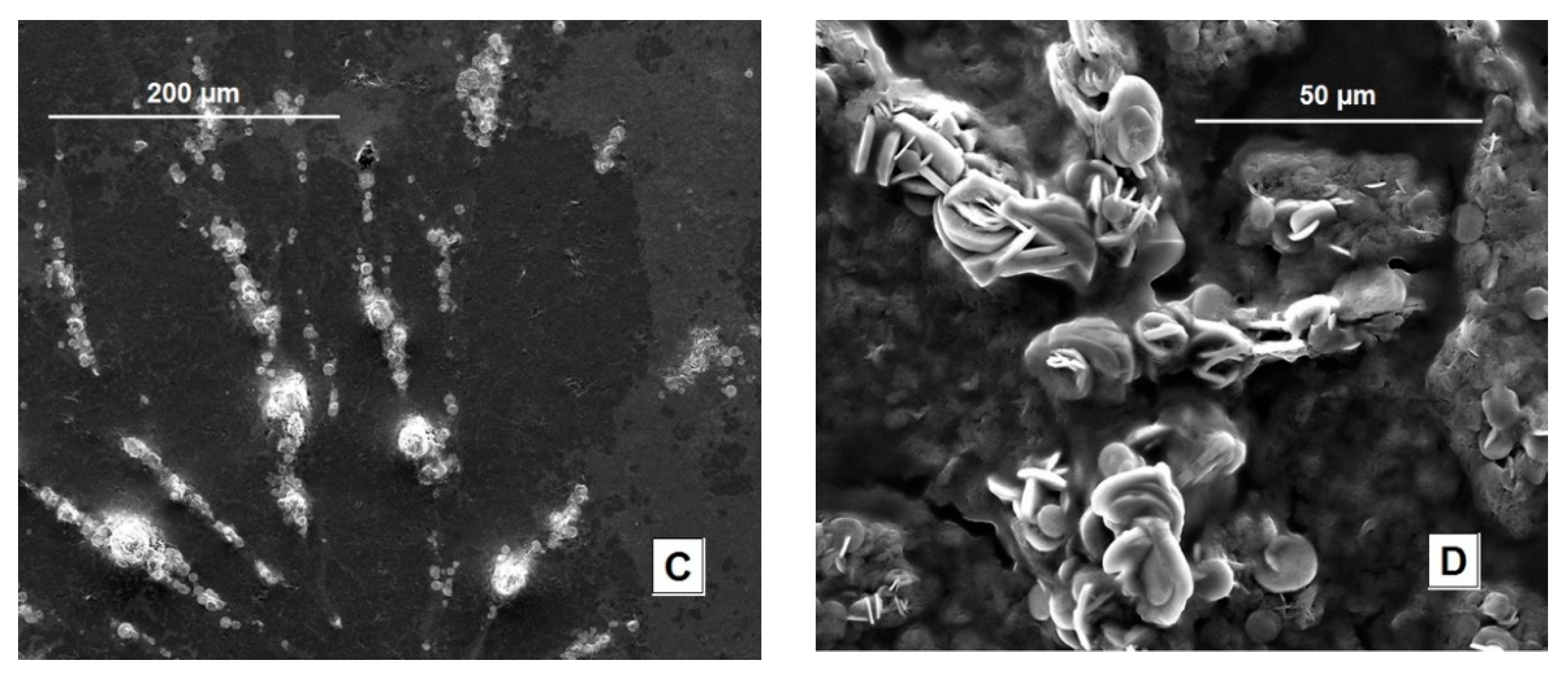 Chemosensors 09 00169 g002b