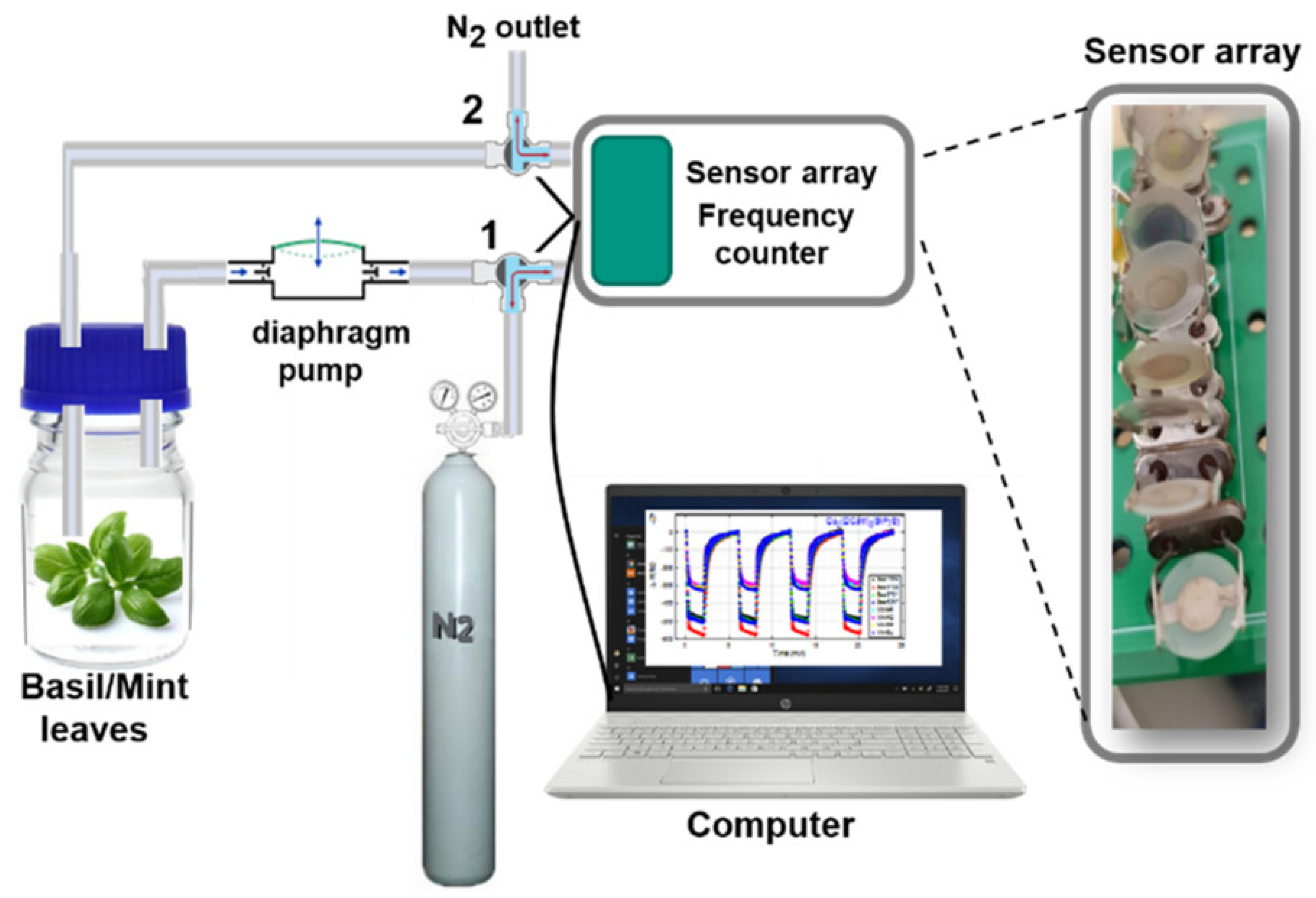 Chemosensors 09 00171 g002