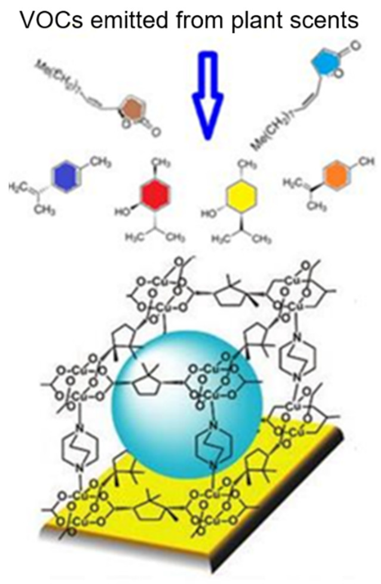Chemosensors 09 00171 g003