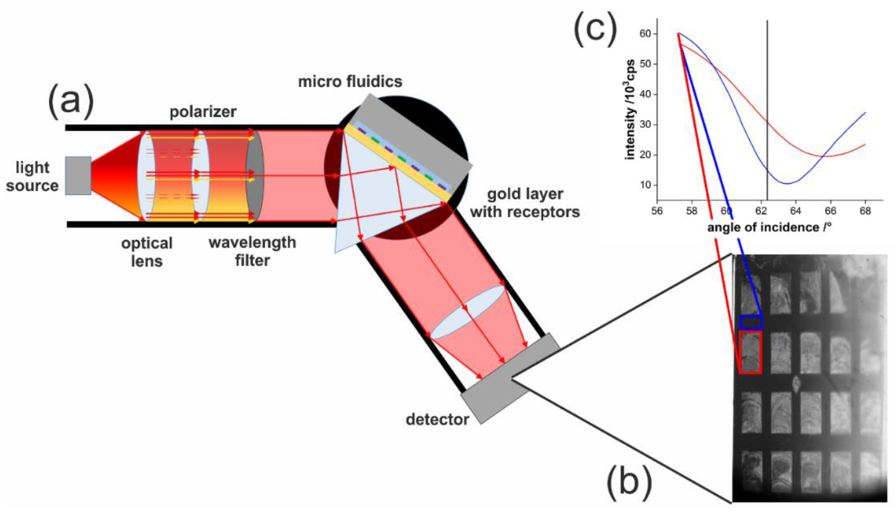 Chemosensors 09 00175 g003 550