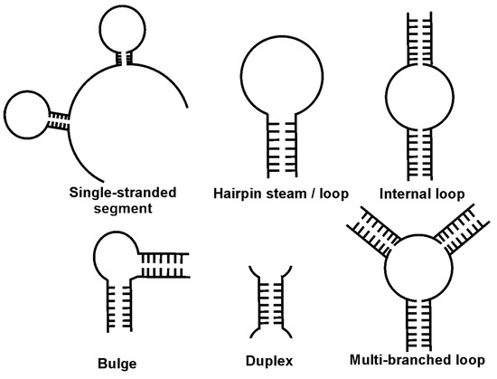 Recent Achievements in Electrochemical and Surface Plasmon