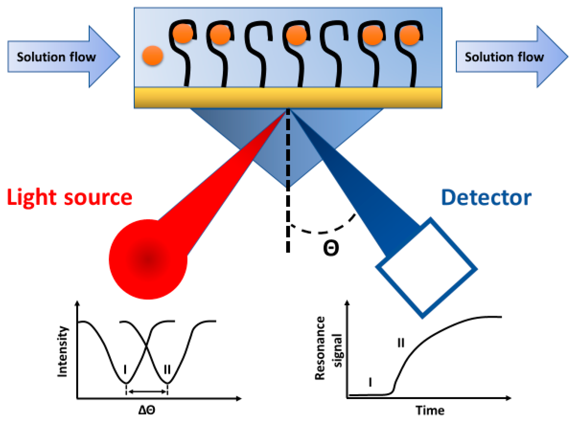 素晴らしい外見 Recent Achievements in Electrochemical and Surface Plasmon Nintendo Switch