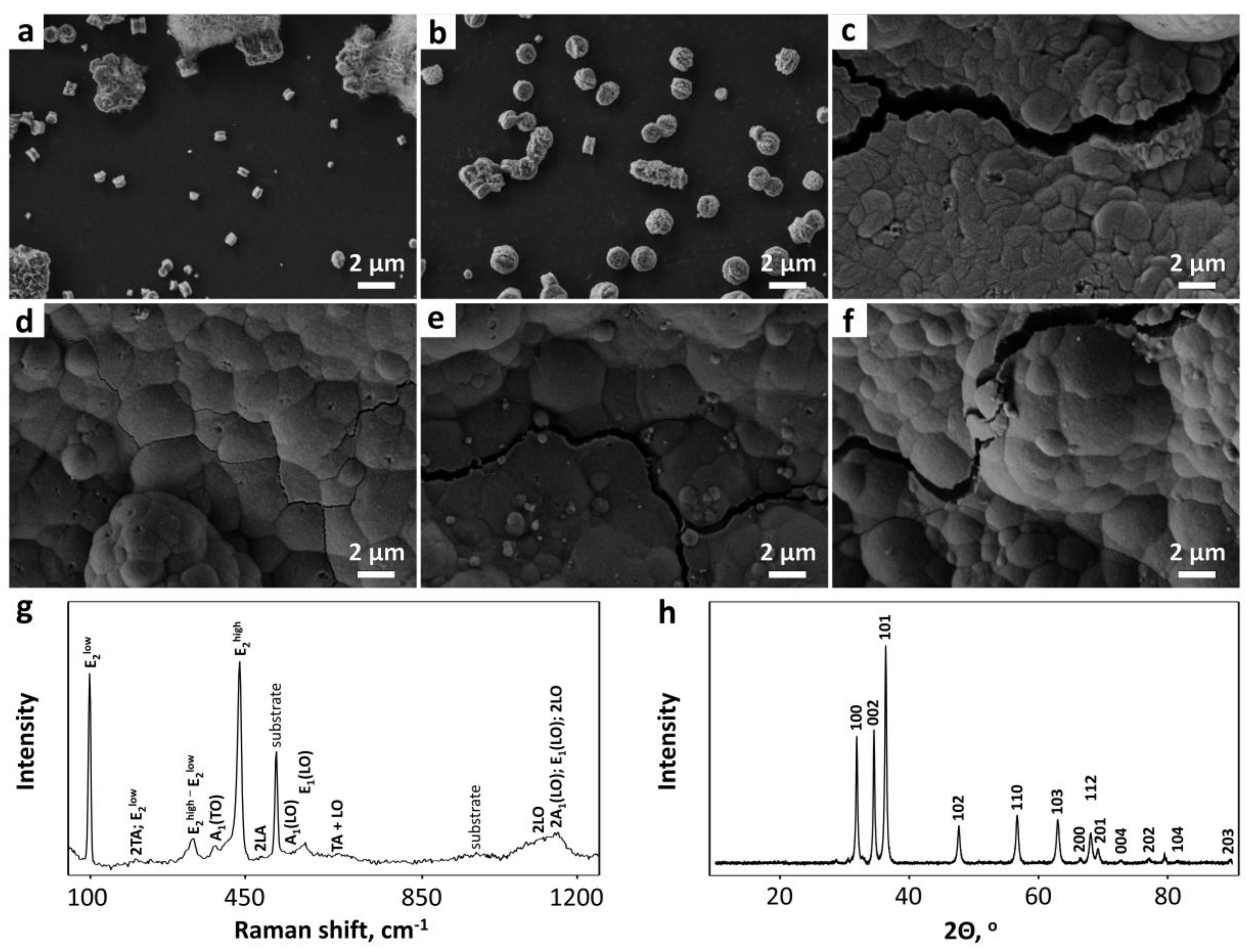 Chemosensors 09 00181 g003 550