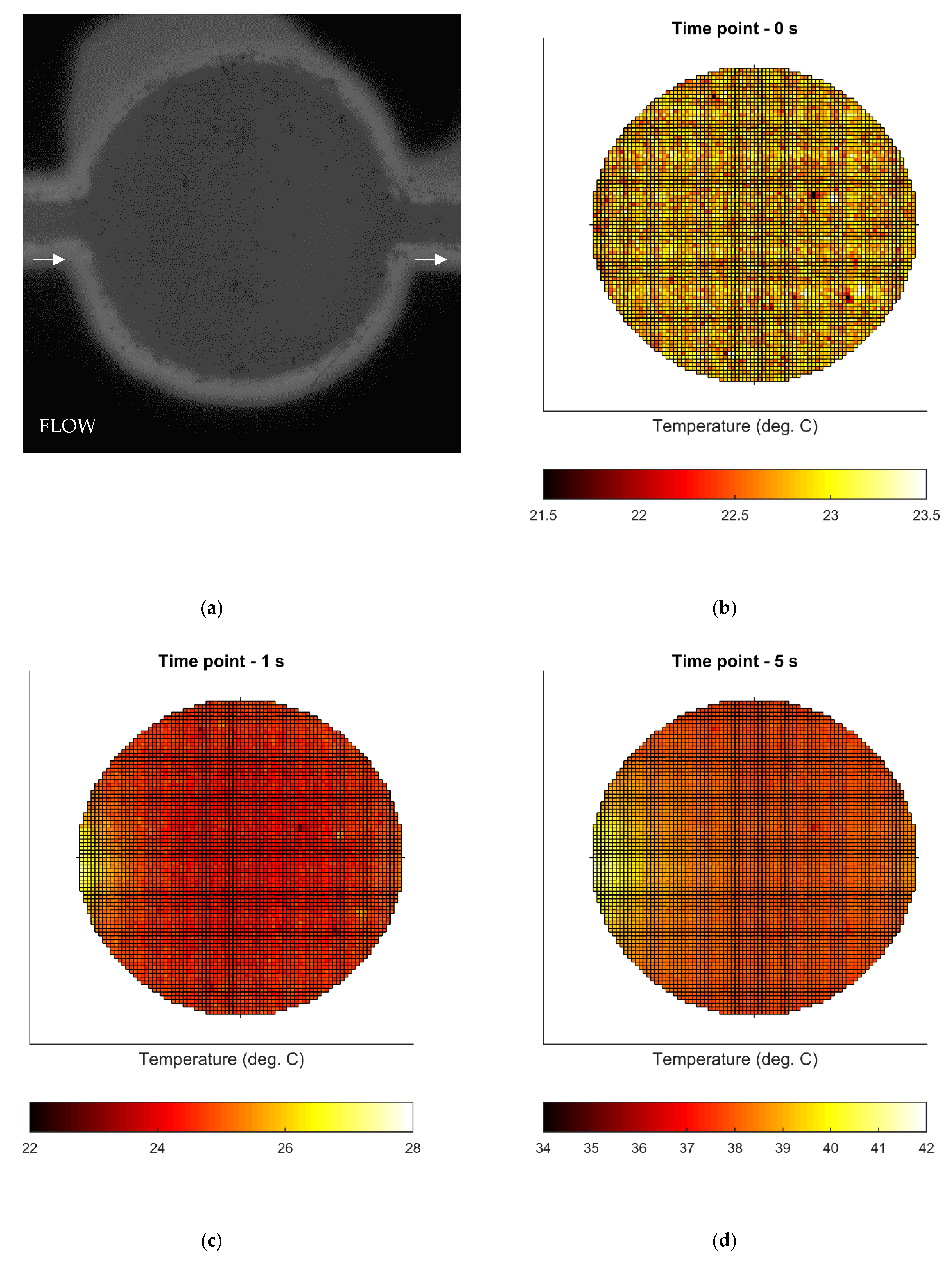 Chemosensors 09 00184 g008 550