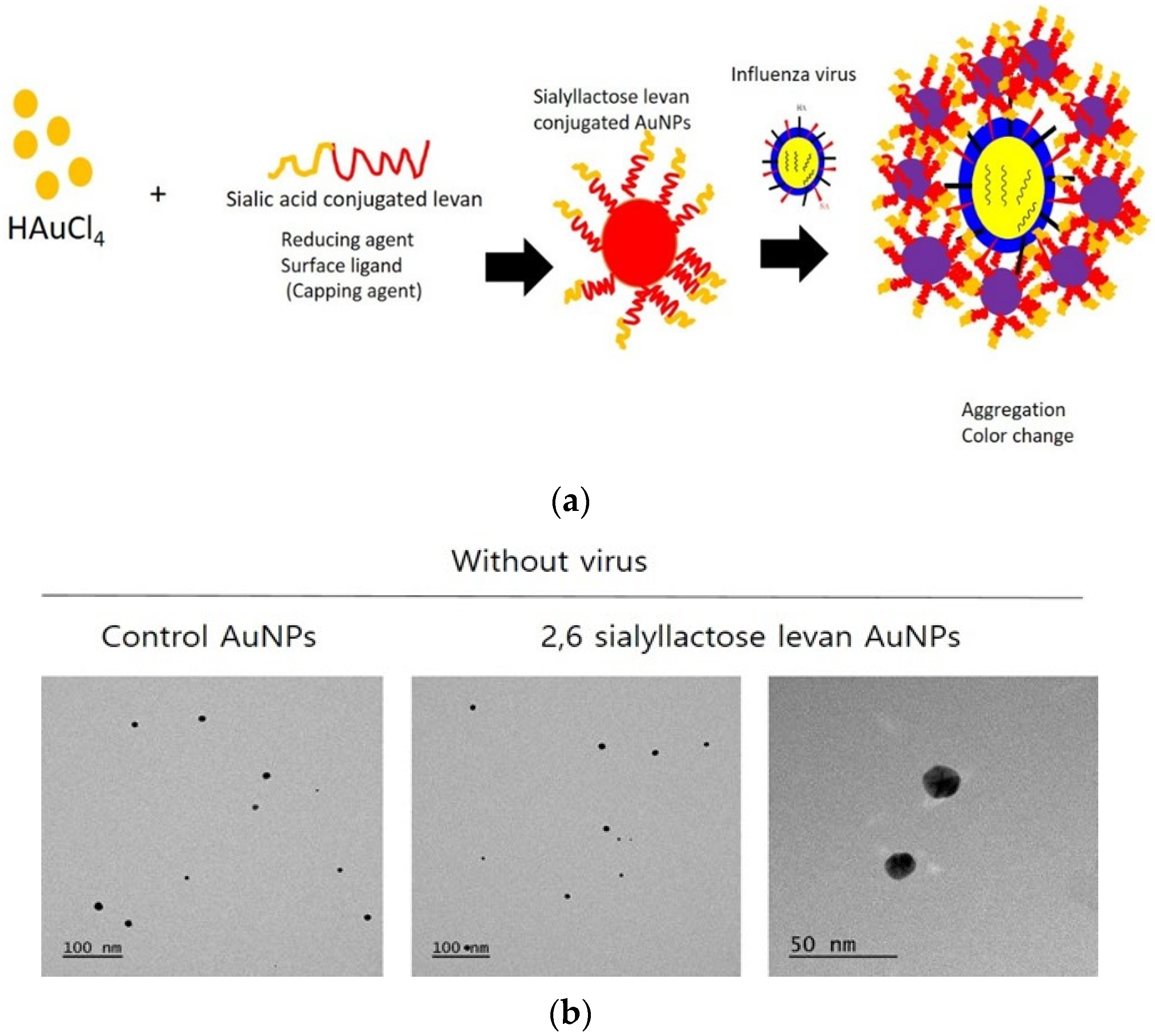 Chemosensors 09 00186 g003a