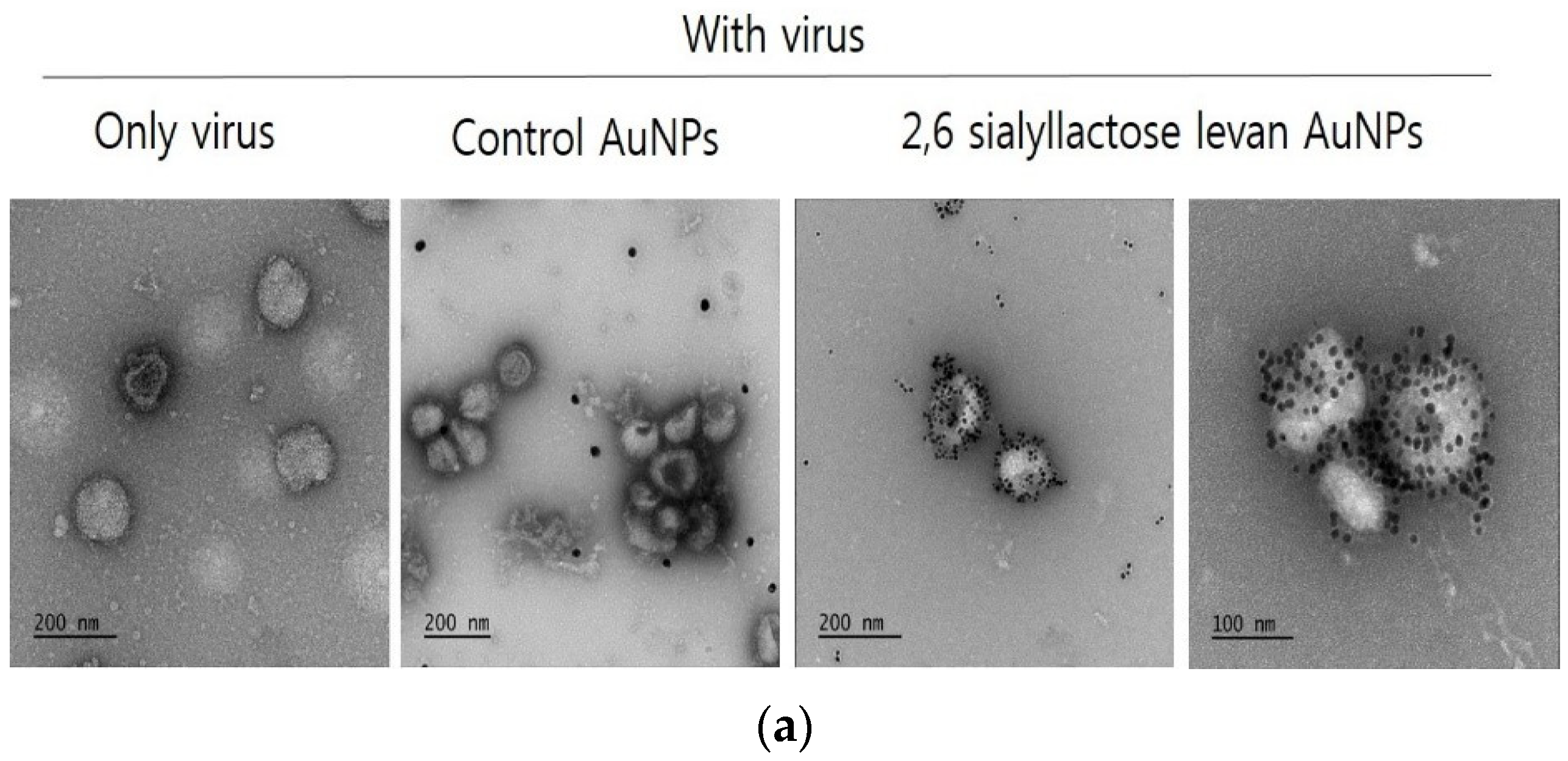 Chemosensors 09 00186 g004a