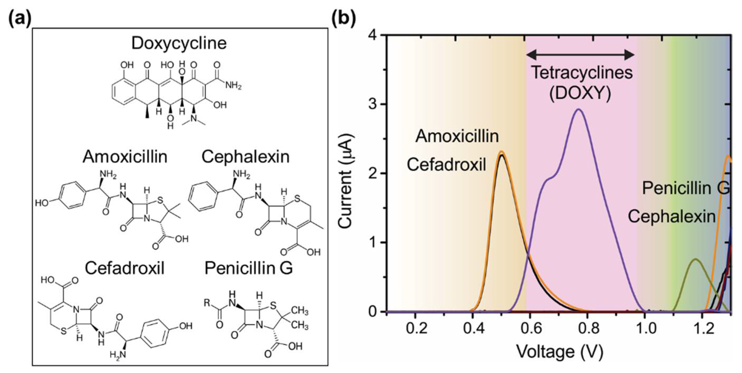 Chemosensors 09 00187 g001